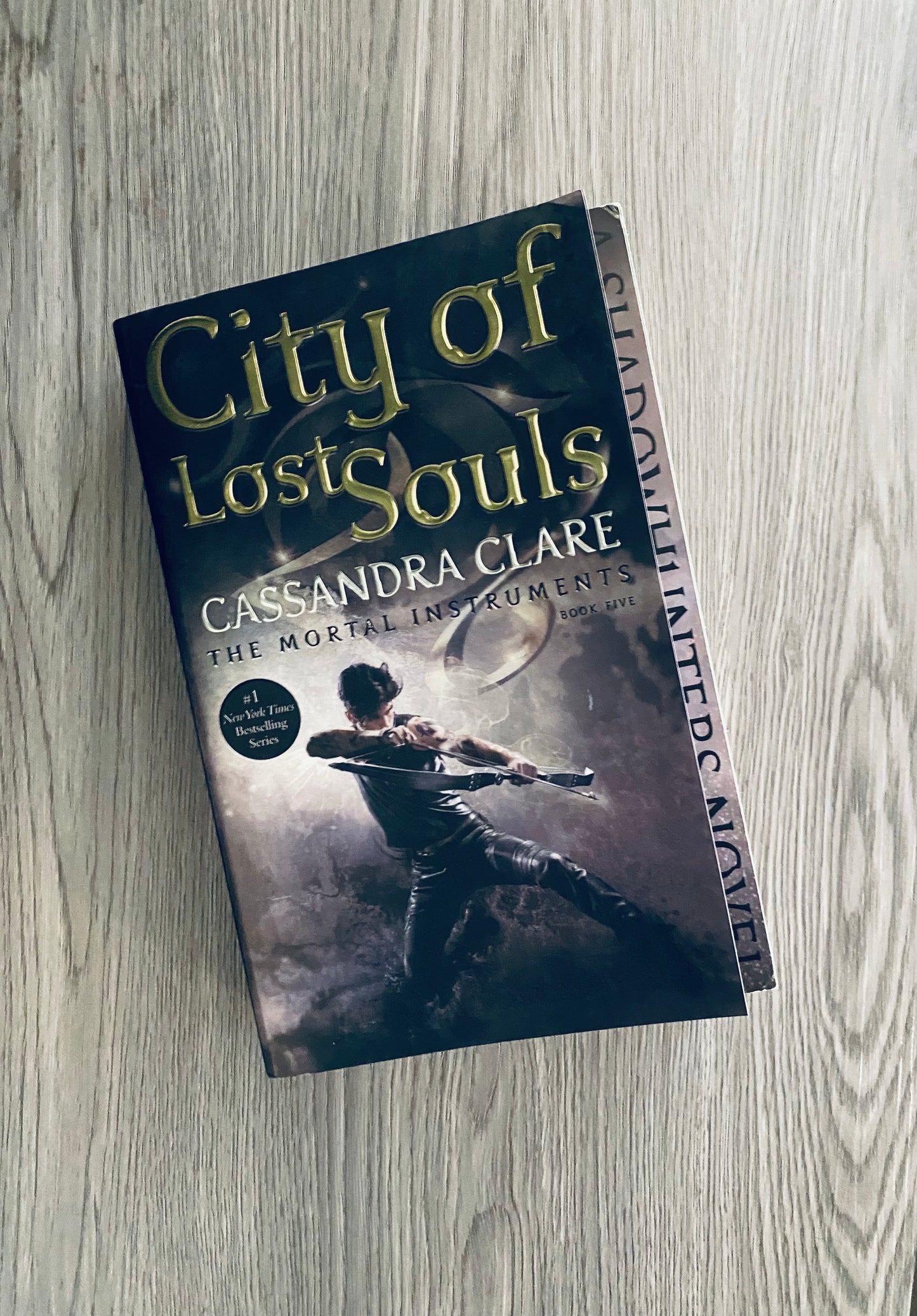 City of Lost Souls (The Mortal Instruments #5) by Cassandra Clare