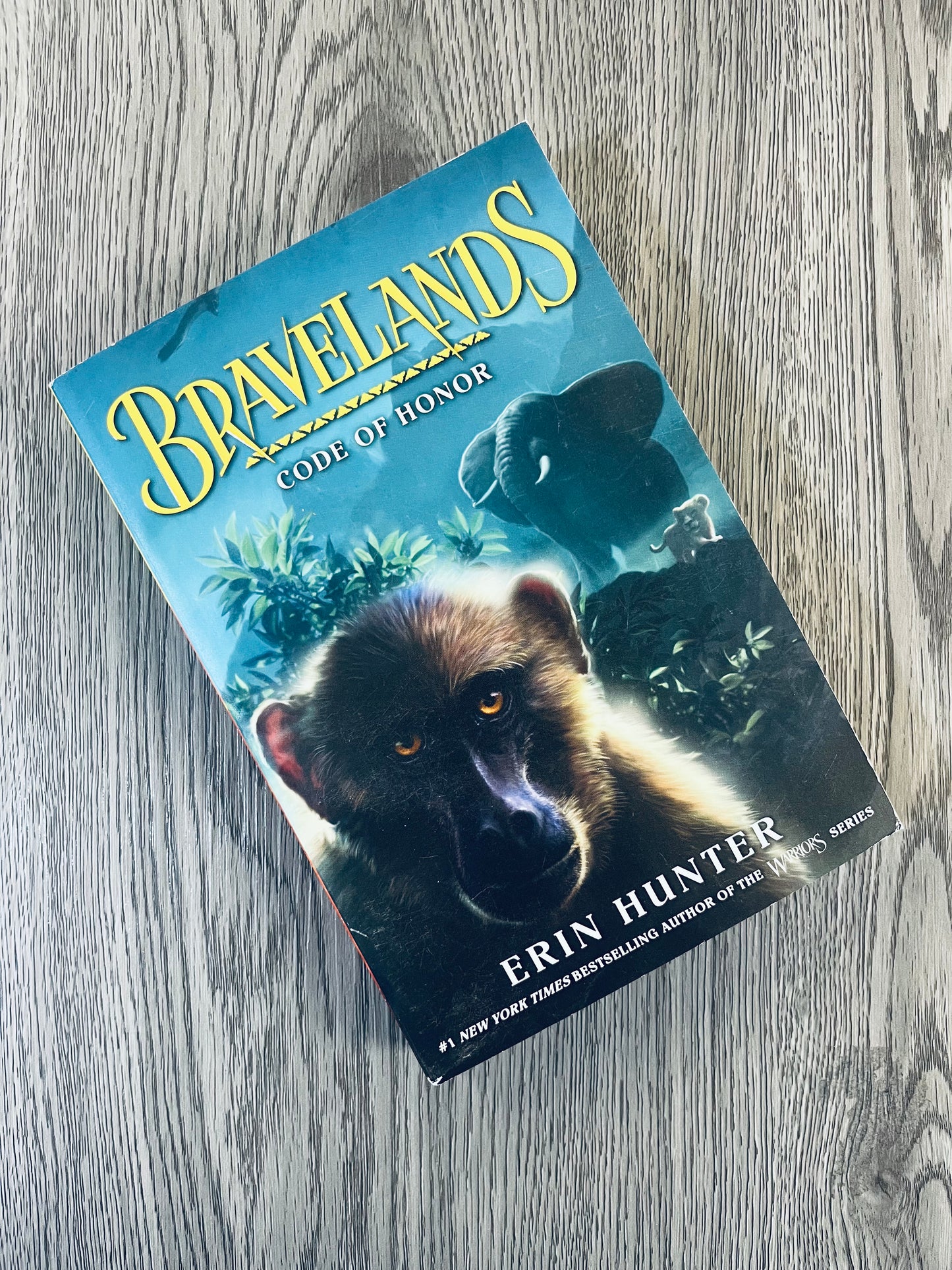 Broken Pride ( Bravelands Book 1) by Erin Hunter