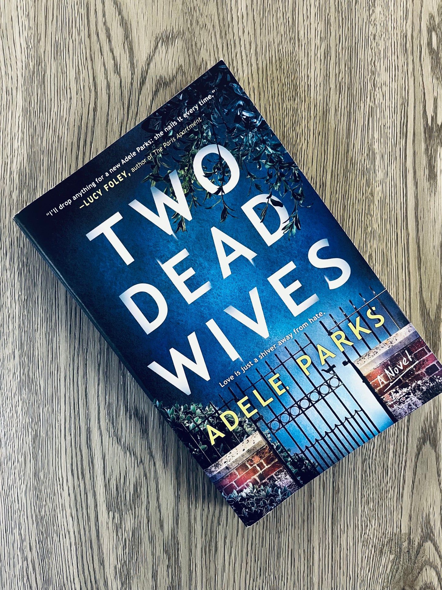 Two Dead Wives (DCI Clements #2) by Adele Parks