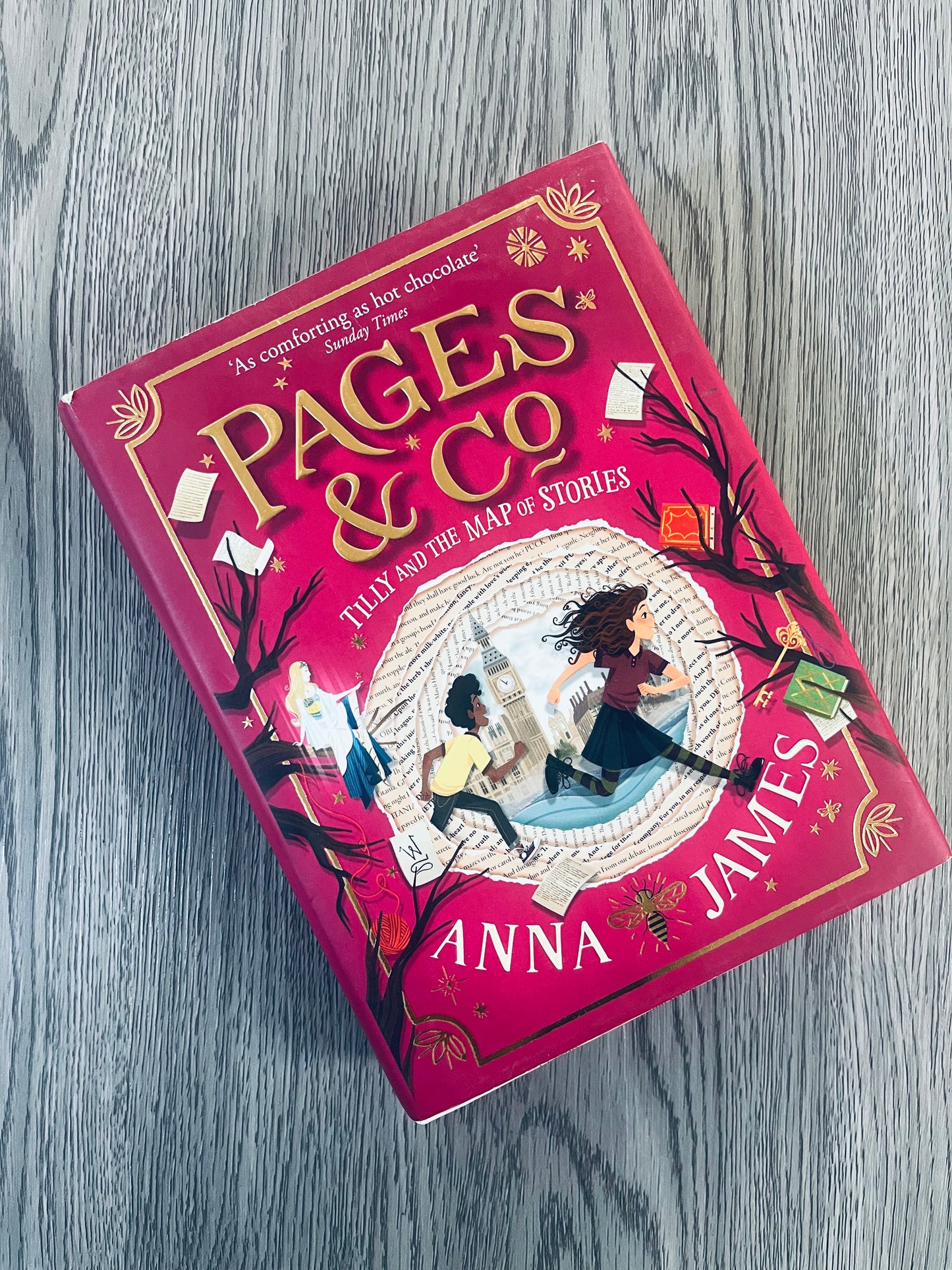 Pages & Co by Anna James