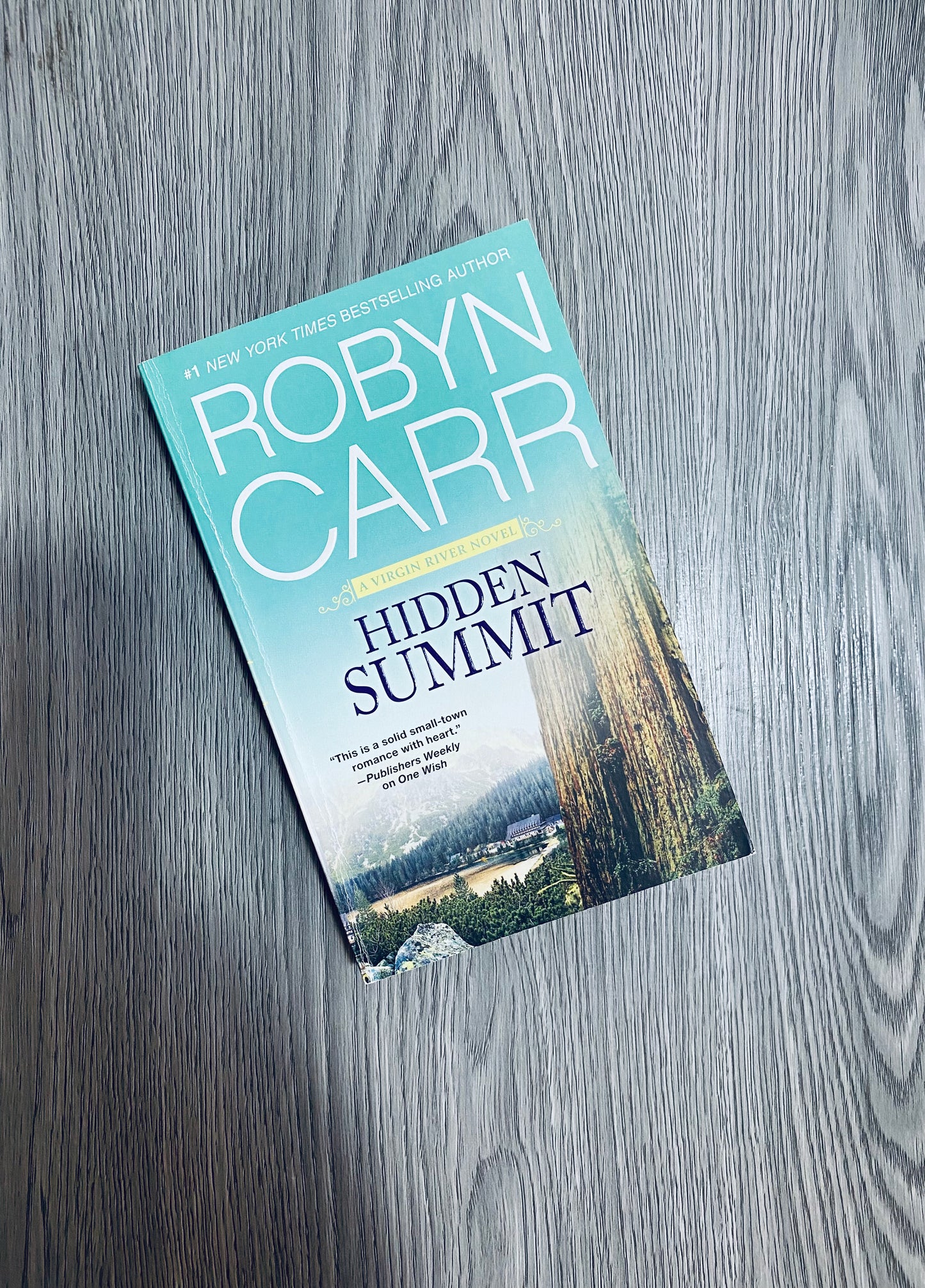 Virgin River Series by Robyn Carr