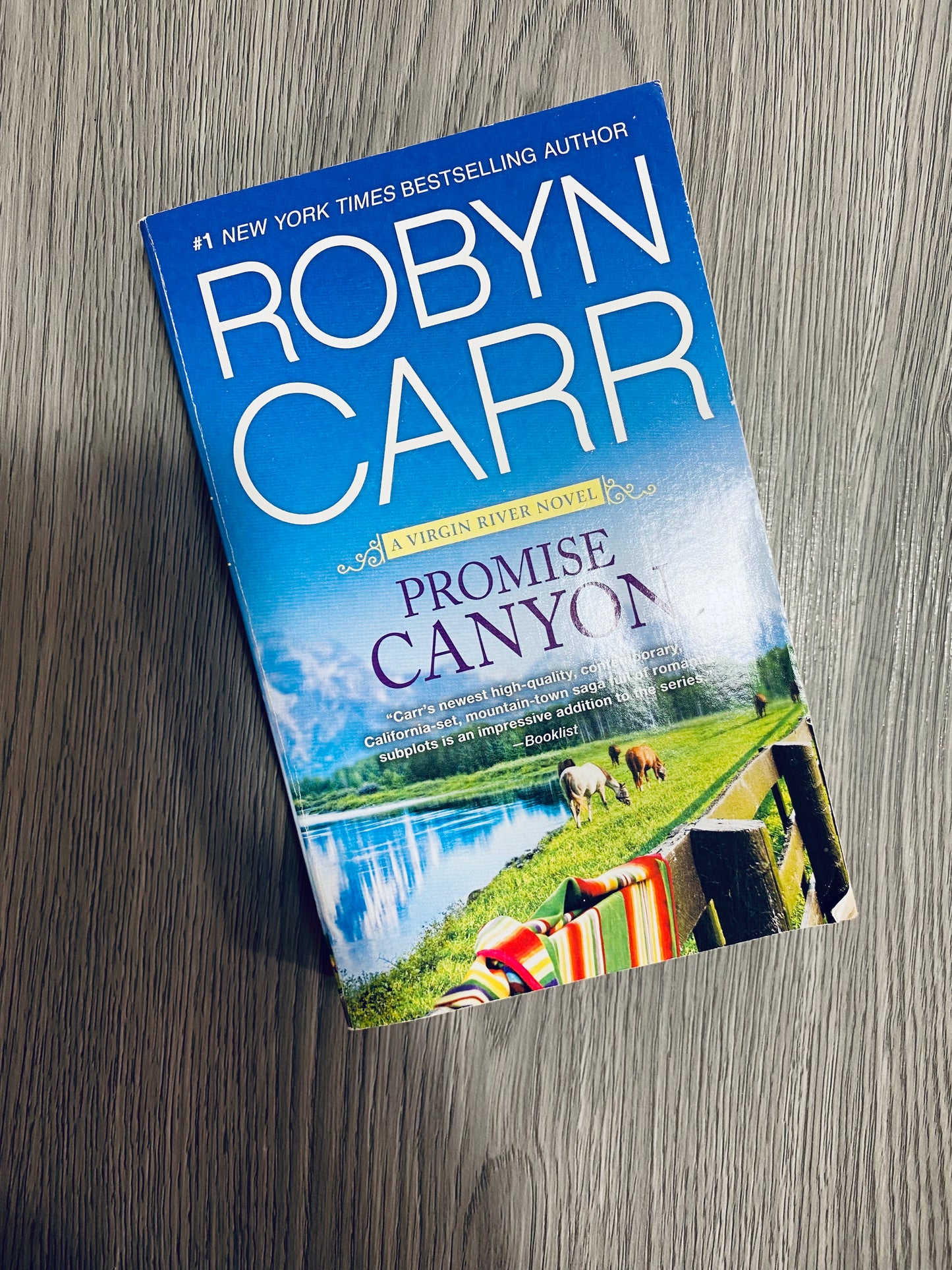 Virgin River Series by Robyn Carr