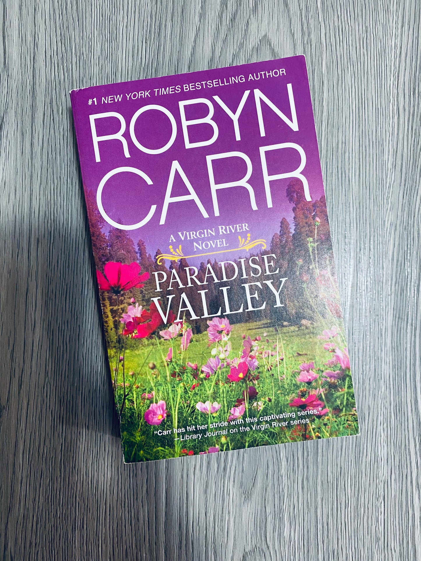 Virgin River Series by Robyn Carr