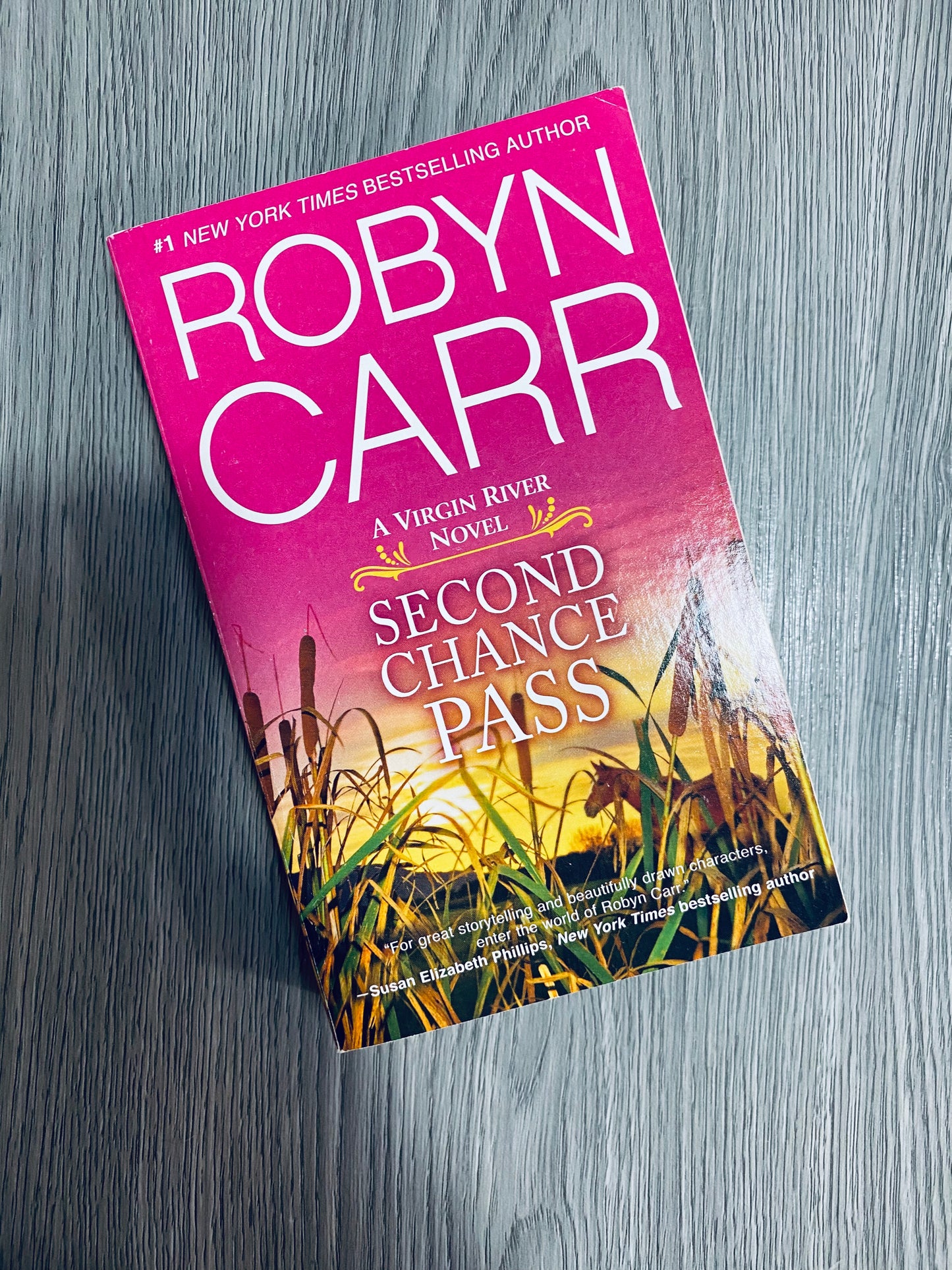 Virgin River Series by Robyn Carr