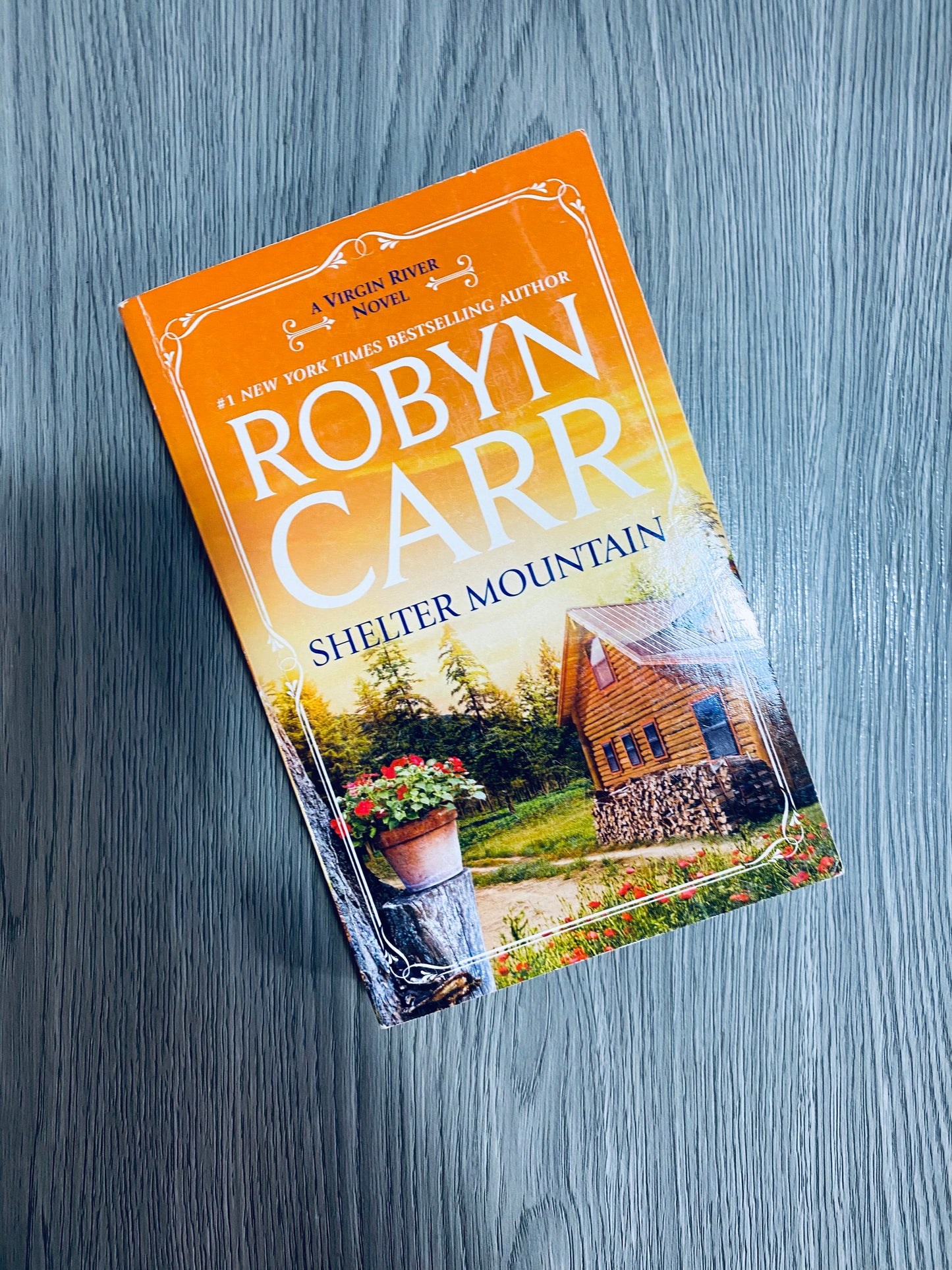 Virgin River Series by Robyn Carr