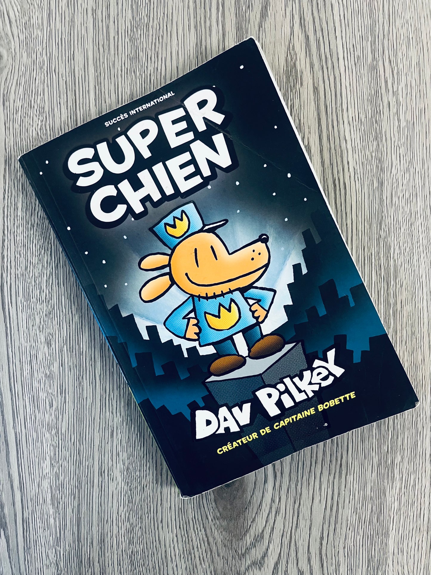 Super Chien by Dav Pilkey