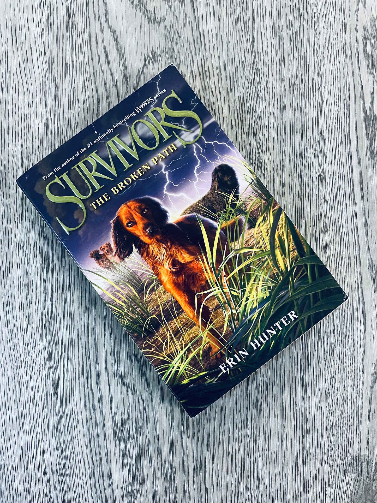 Survivors by Erin Hunter