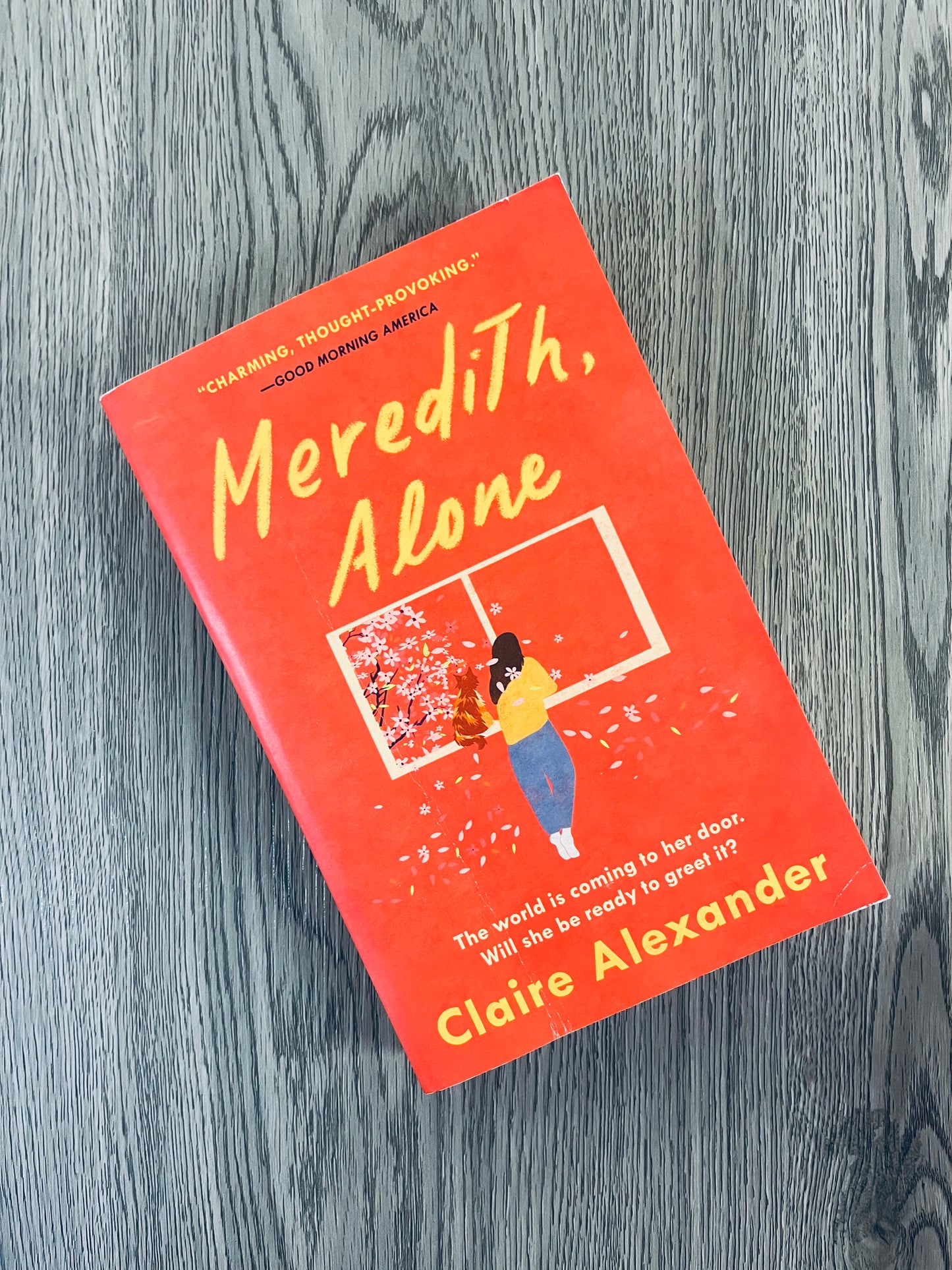 Meredith, Alone by Claire Alexander