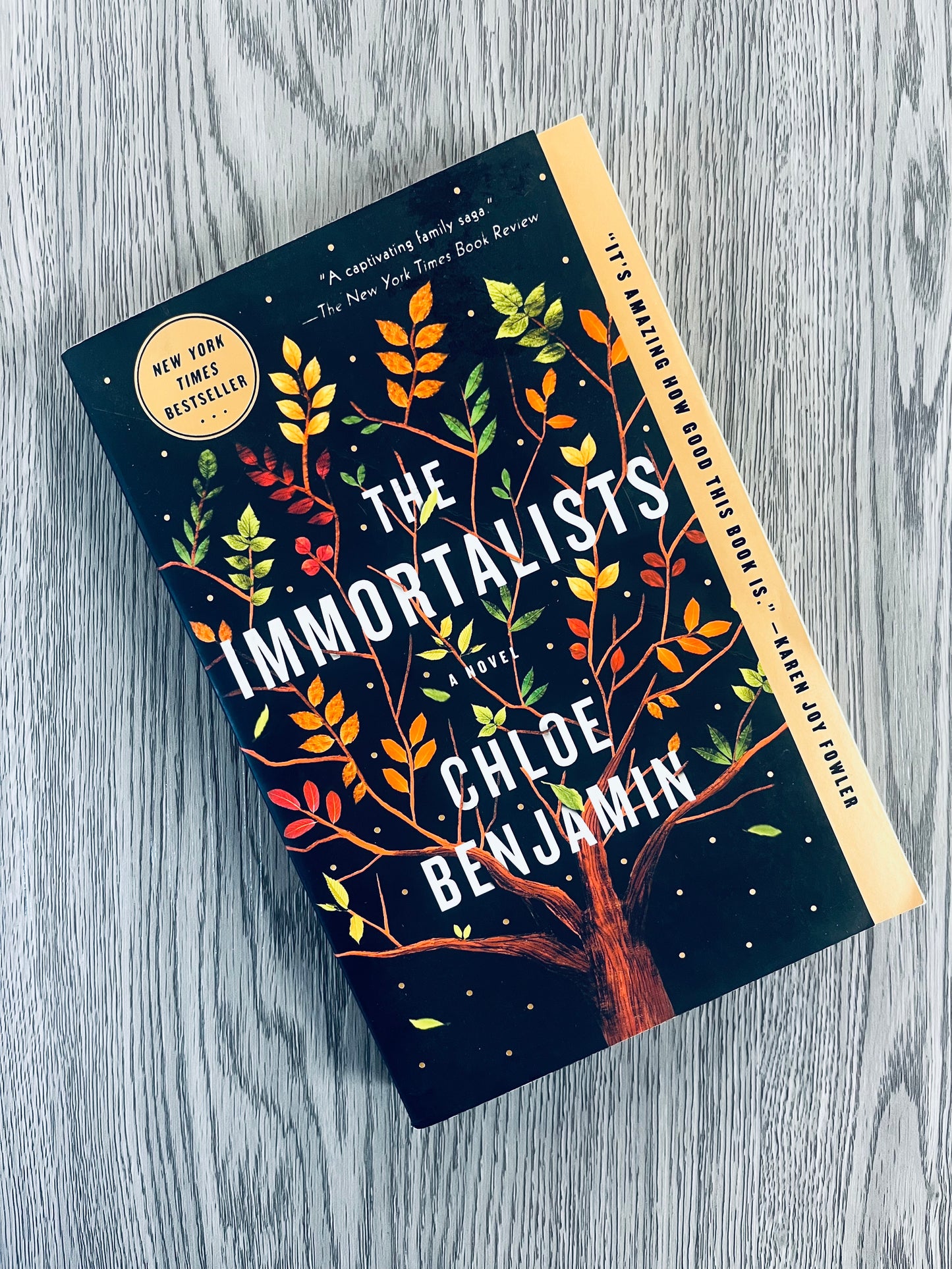 The Immortalists by Chloe Benjamin