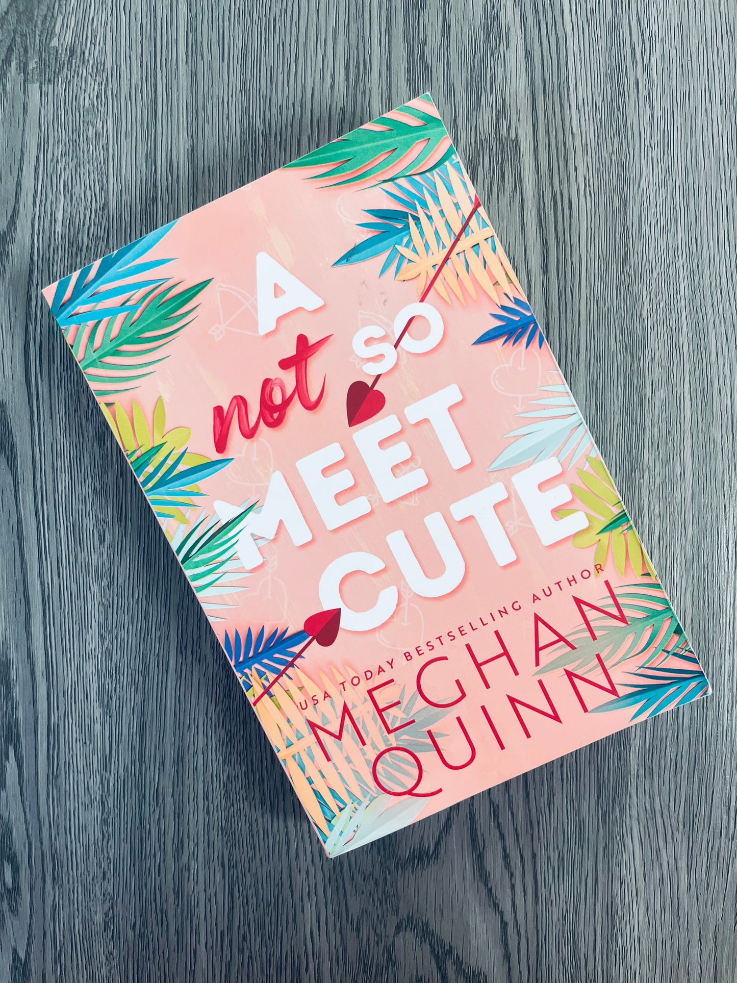 A Not so Meet Cute (Cane Brothers #1) by Meghan Quinn