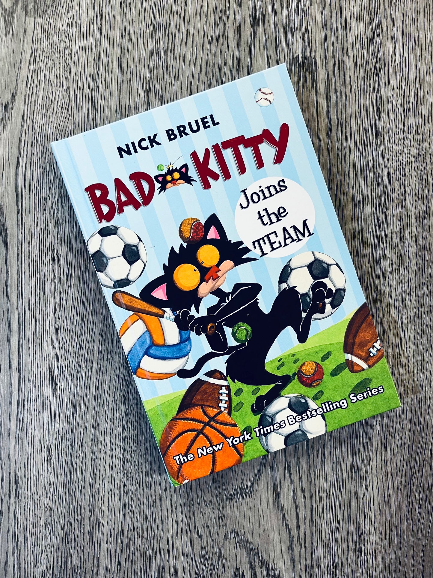 Bad Kitty by Nick Bruel