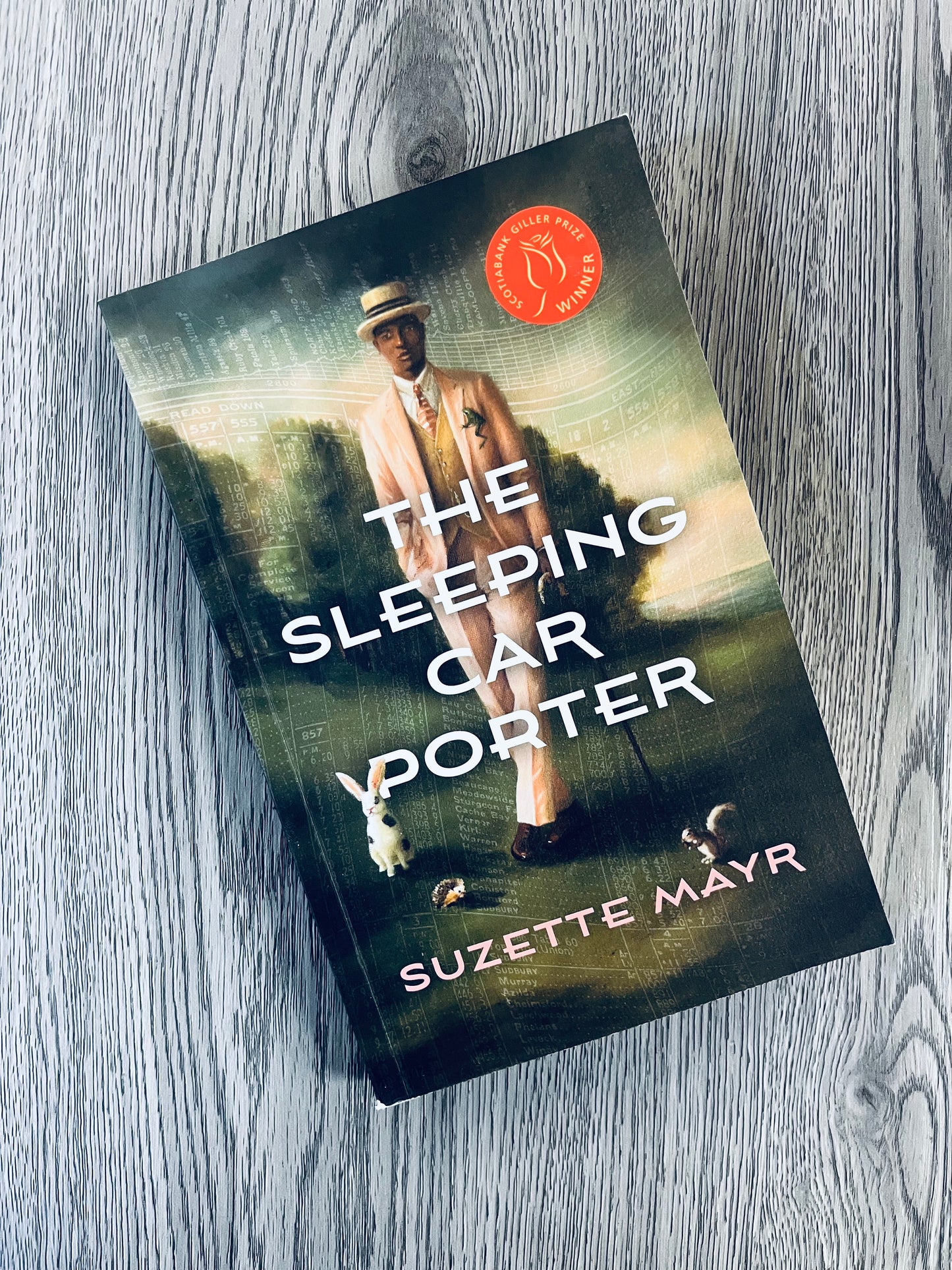 The Sleeping Car Porter by Suzette Mayr