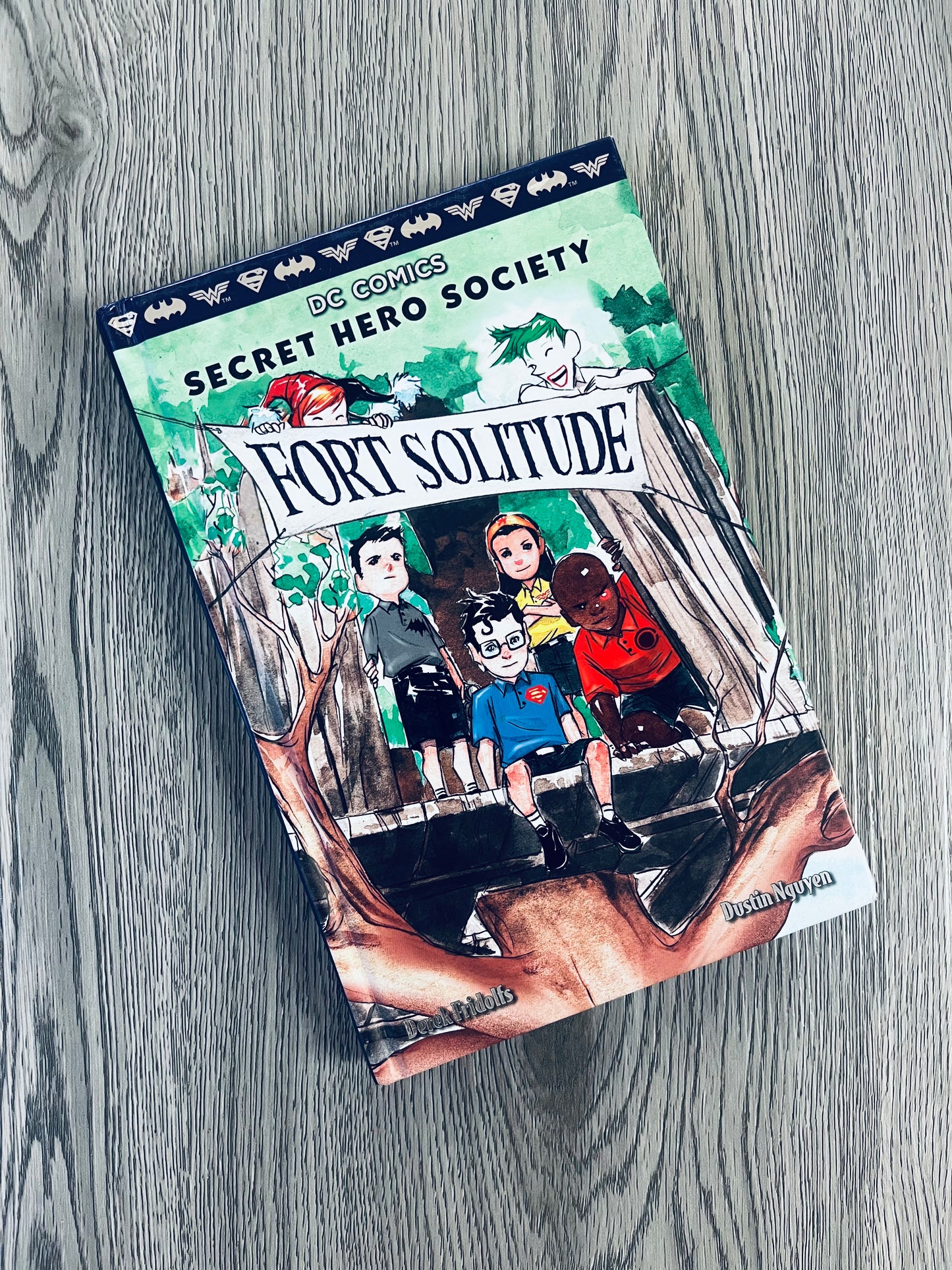 DC Comics Secret Hero Society Series by Derek Fridolfs-Used