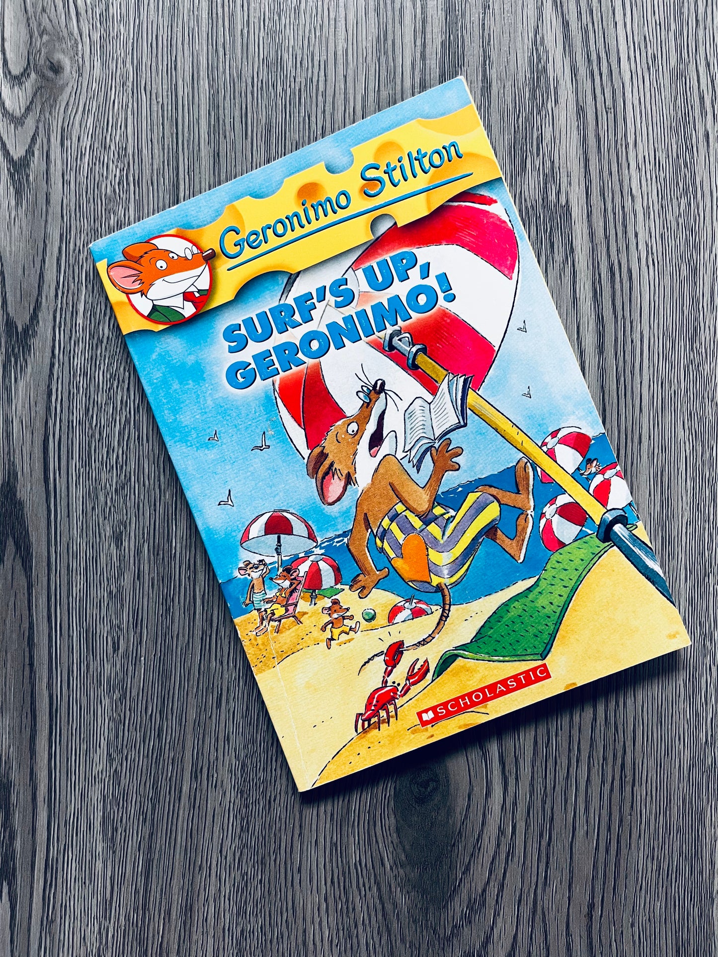 Geronimo Stilton Series