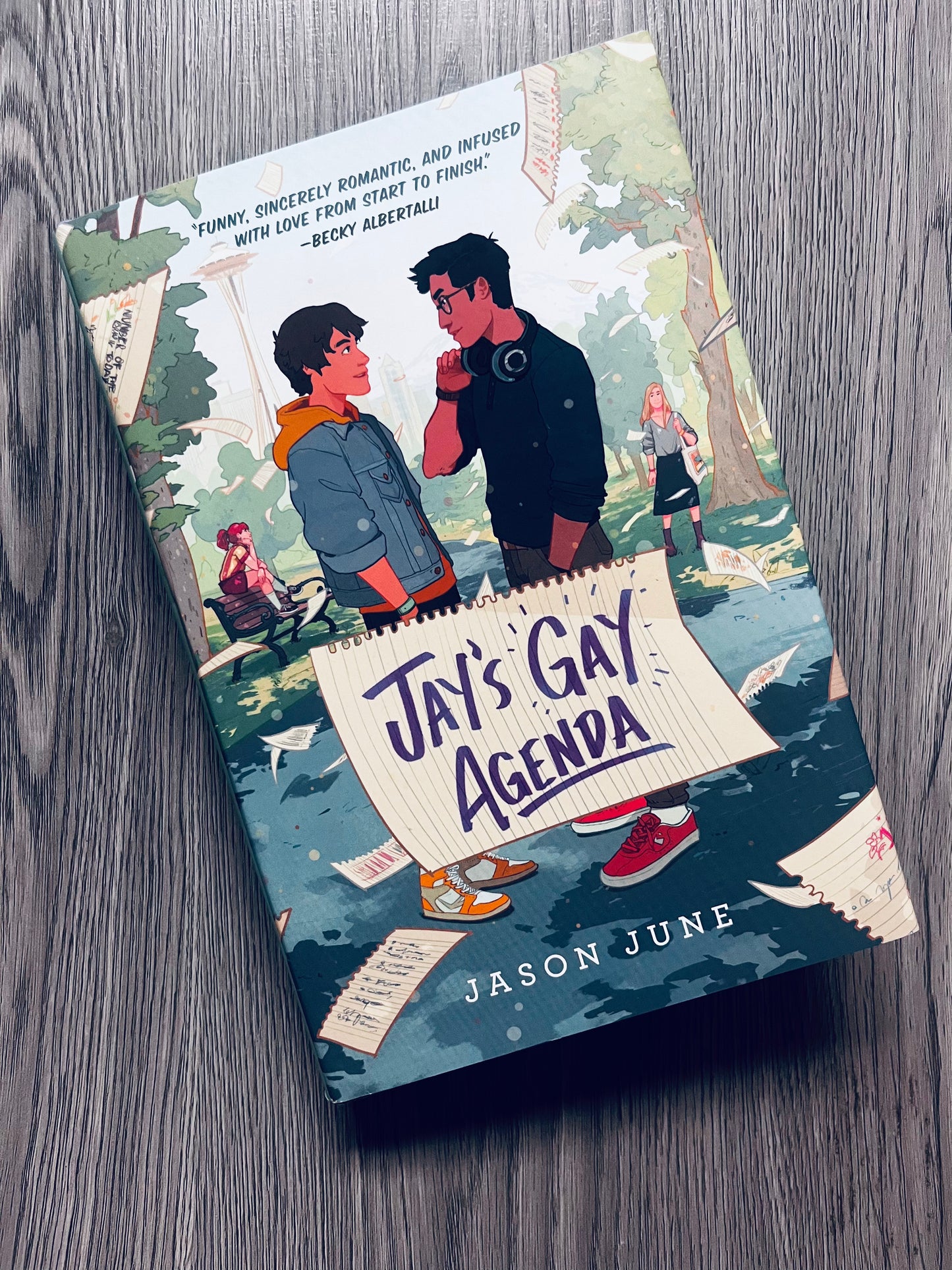 Jay's Gay Agenda by Jason June - Hardcover Used