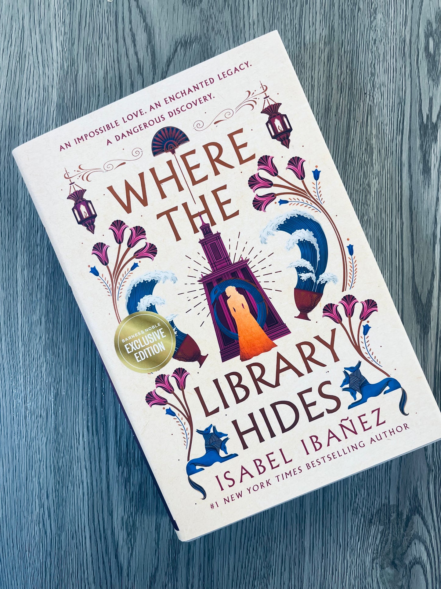Where the Library Hides (Secrets of the Nile #2) by Isabel Ibañez - Hardcover Used