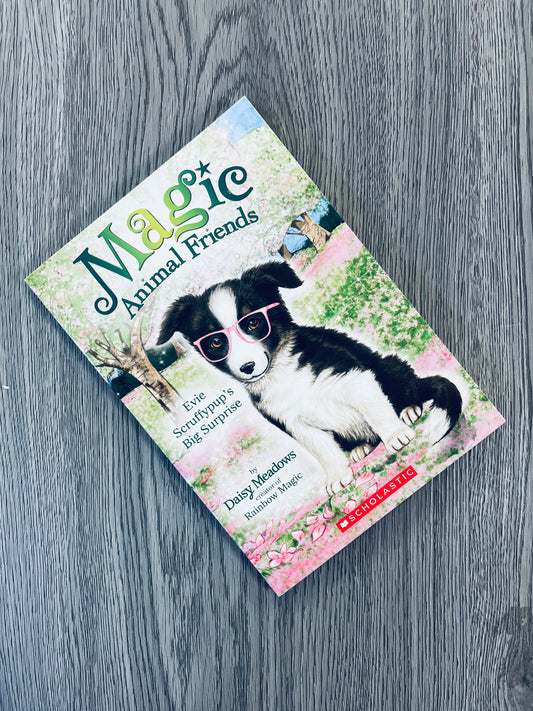 Magic Animal Friends Series by Daisy Meadows
