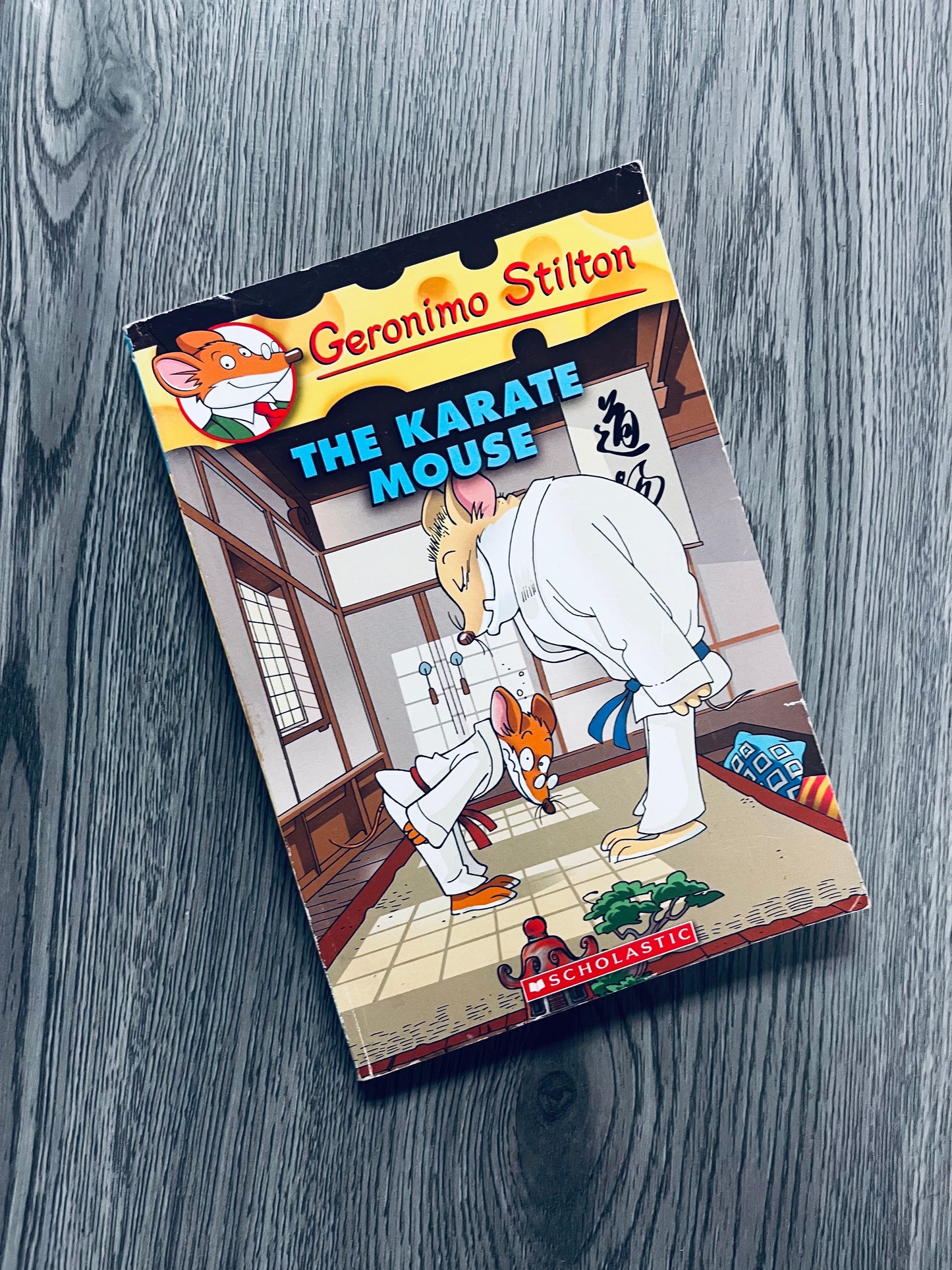 Geronimo Stilton Series