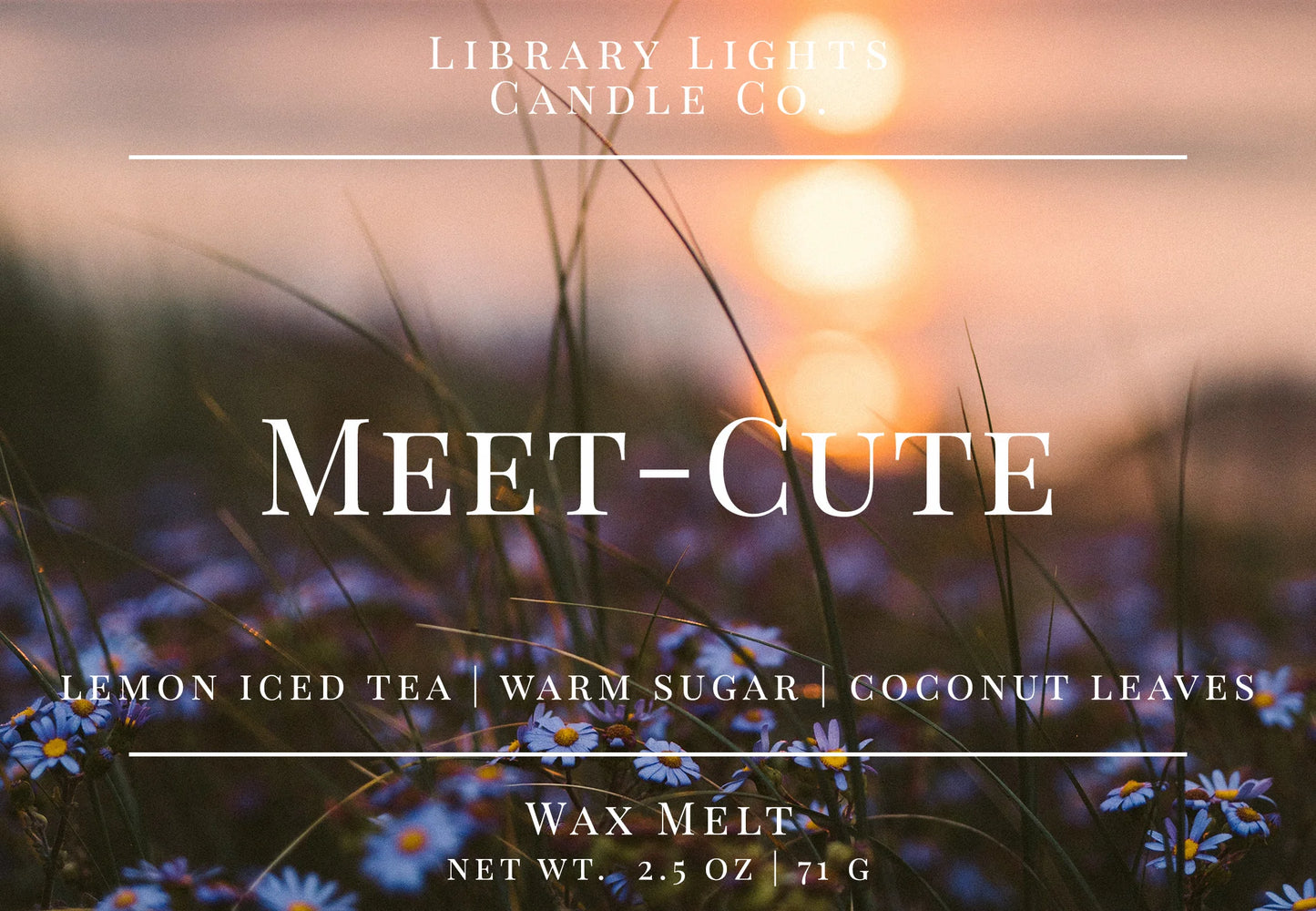 Library Lights Wax Melts