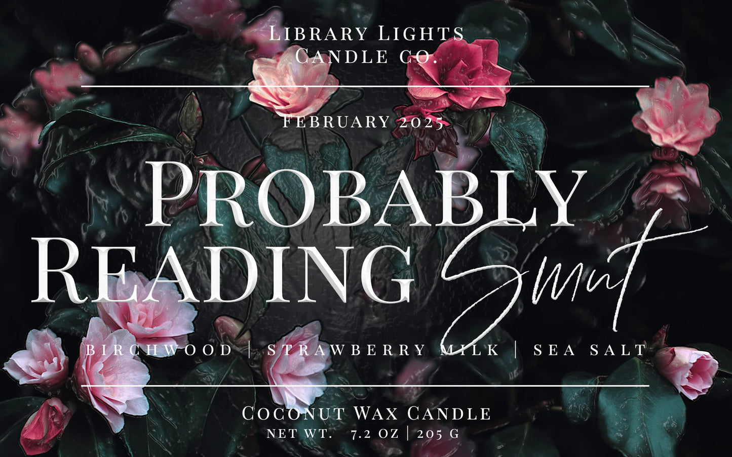 Library Lights 8oz Candles