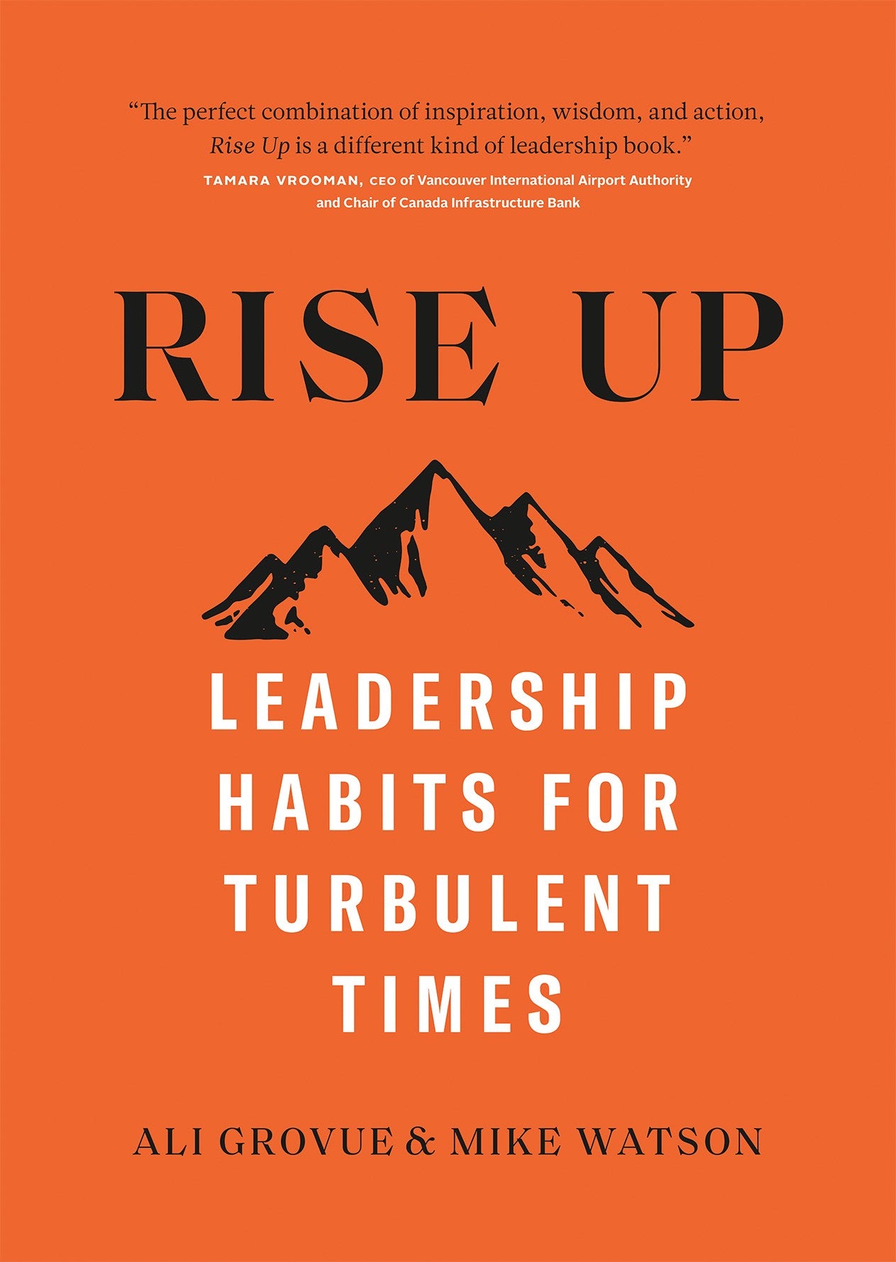 Rise Up: Leadership Habits for Turbulent Times by Ali Grovue-Used