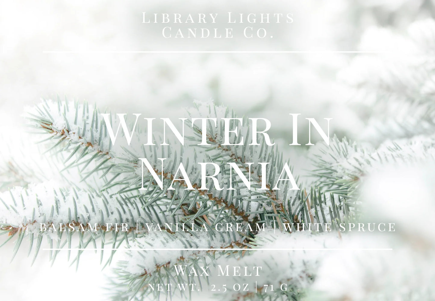 Library Lights Wax Melts