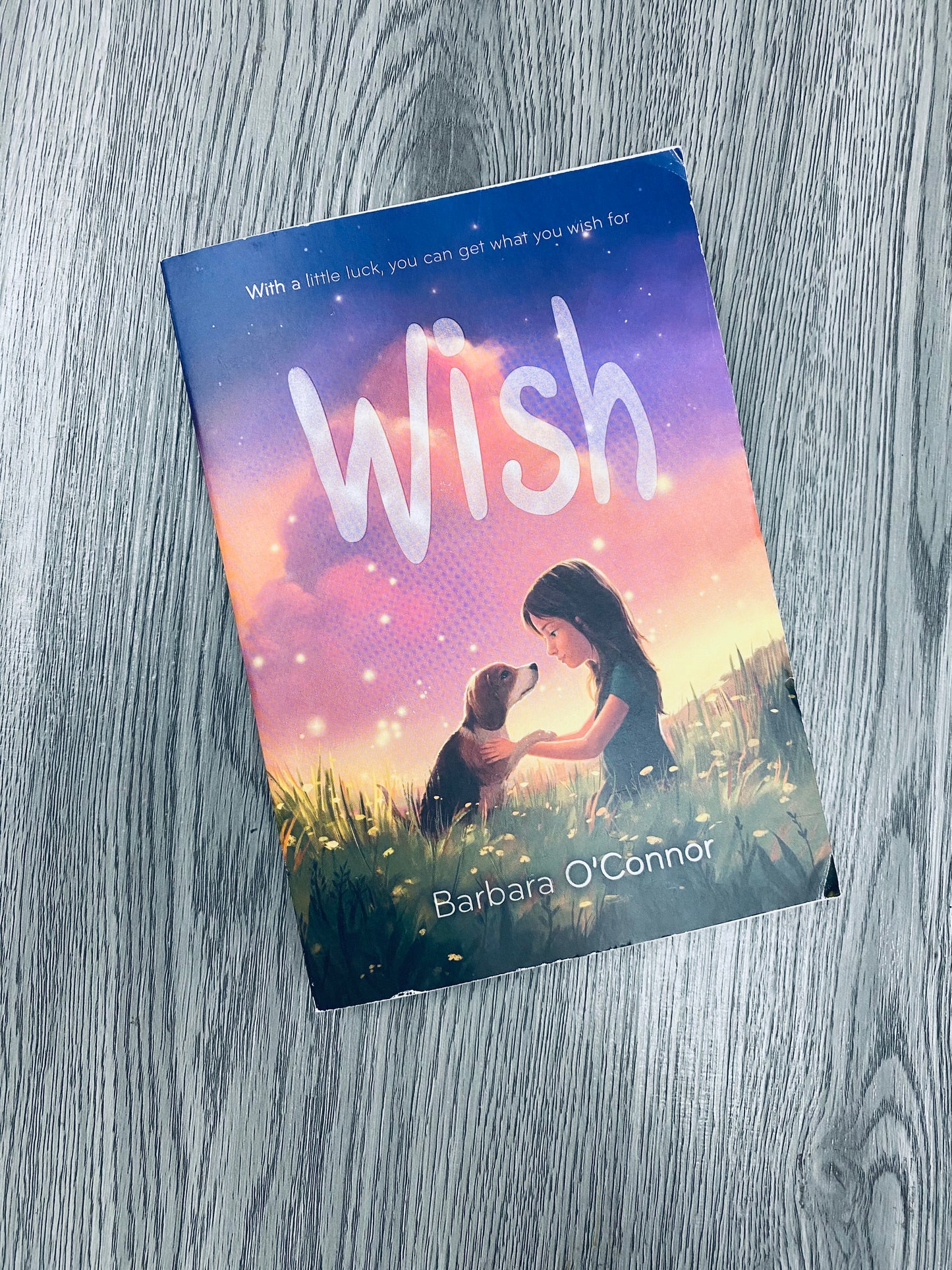 Wish by Barbara O' Connor-Used