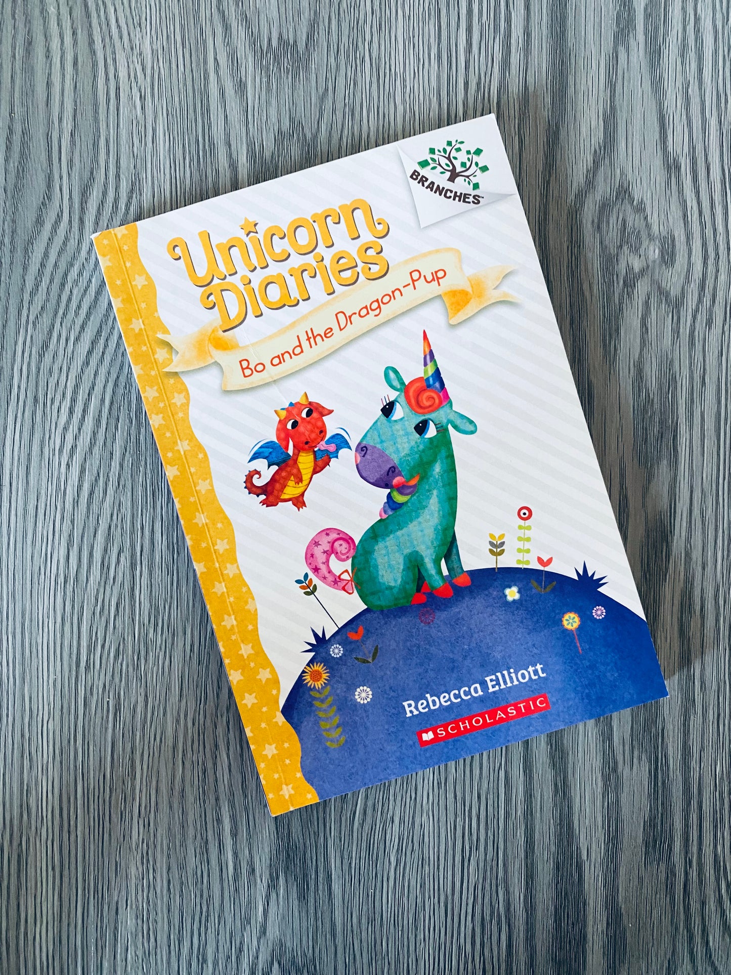 Unicorn Diaries by Rebecca Elliott