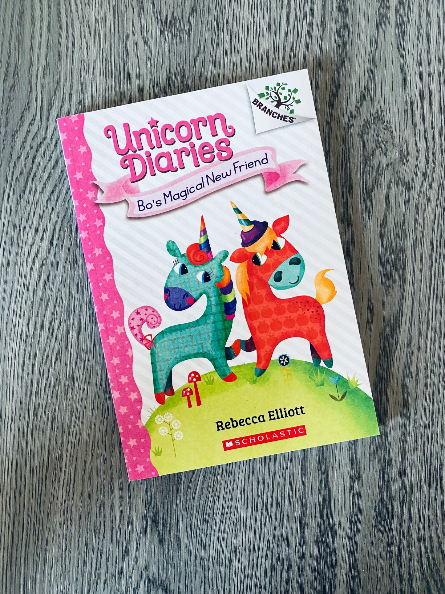 Unicorn Diaries by Rebecca Elliott