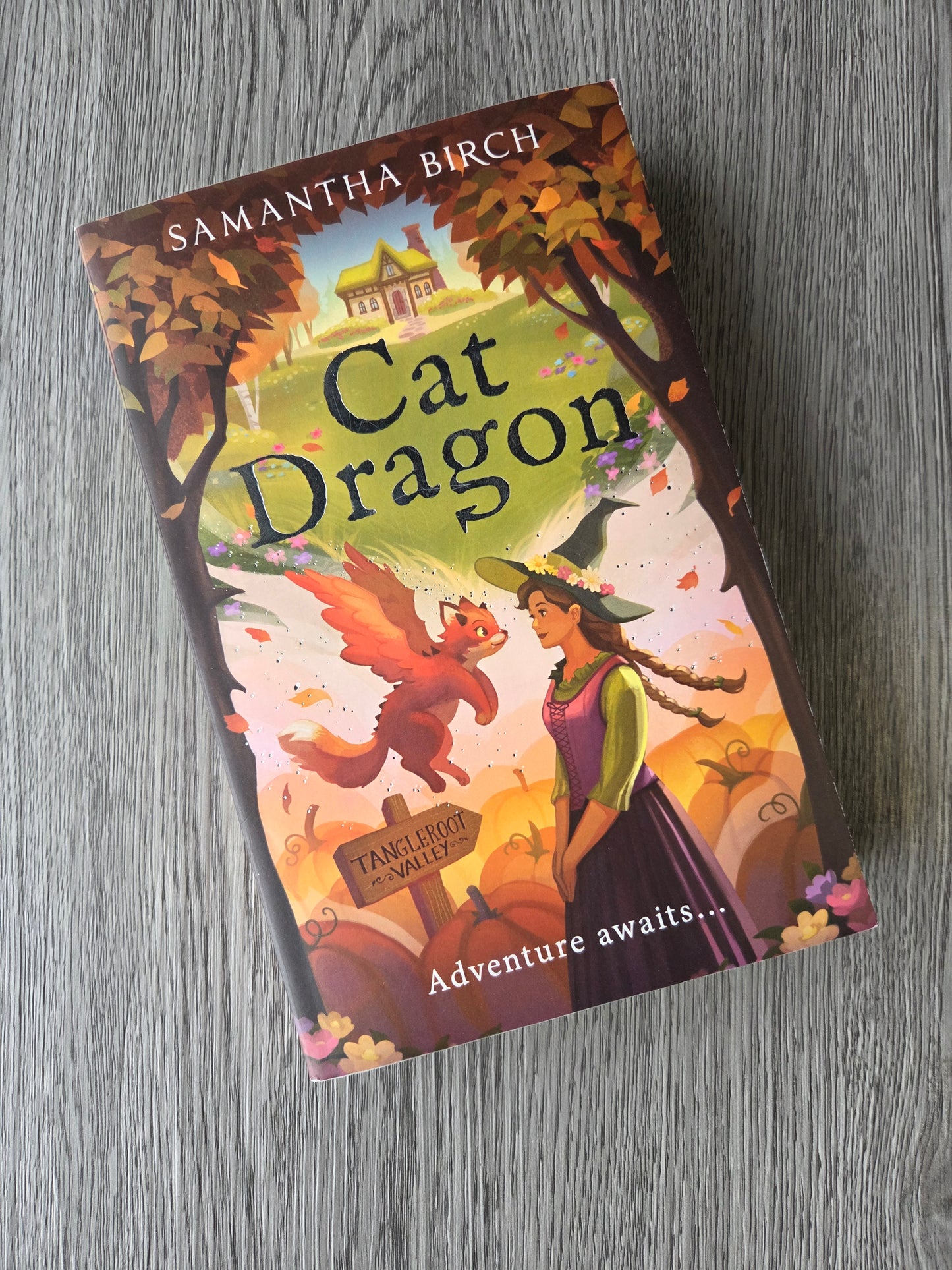Cat Dragon by Samantha Birch-Used