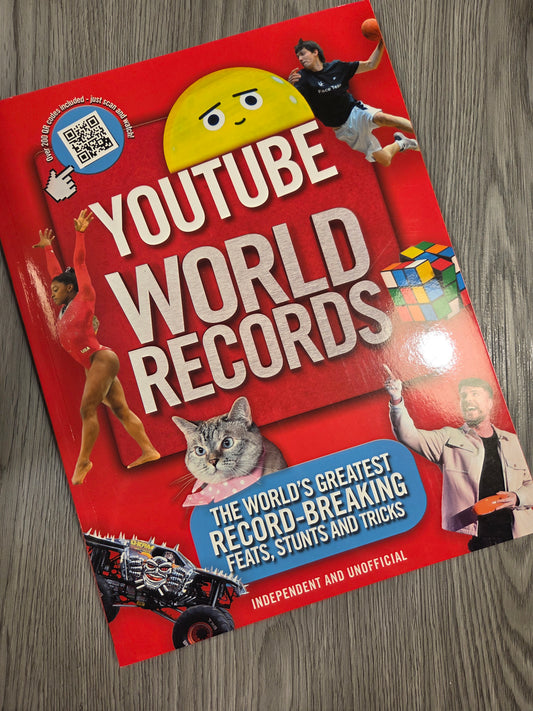 YouTube World Records: The World's Greatest Record-Breaking Feats, Stunts and Tricks by Adria Besley - Used