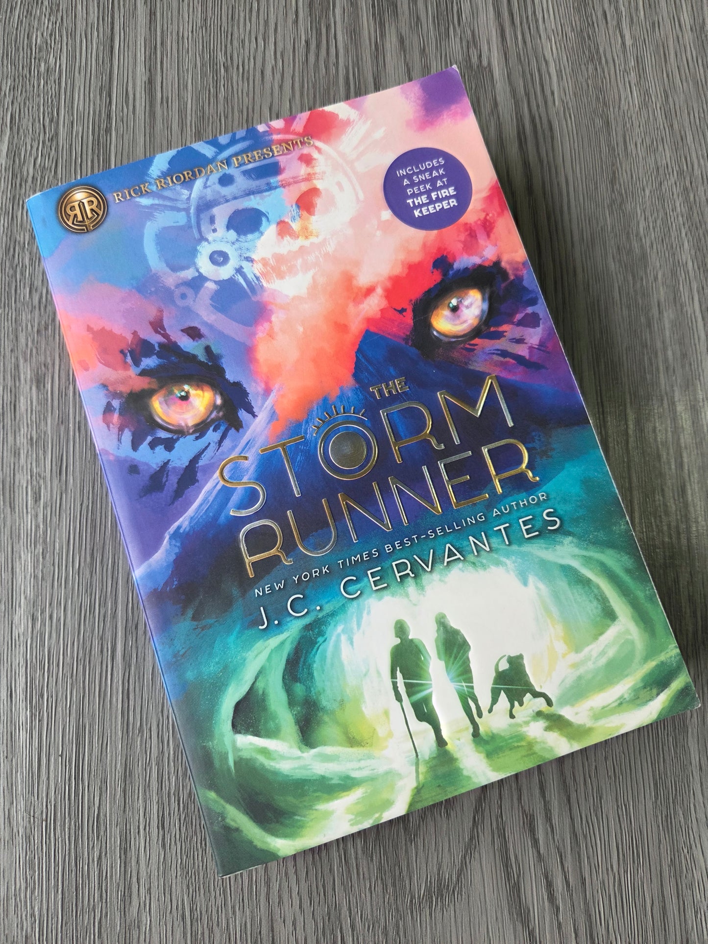 The Storm Runner (The Storm Runner #1) by J.C Cervantes-Used