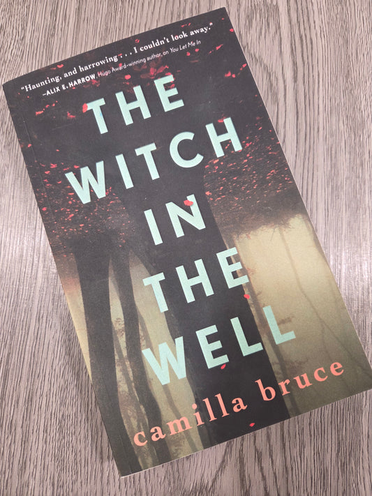 The Witch in the Well by Camilla Bruce - Used