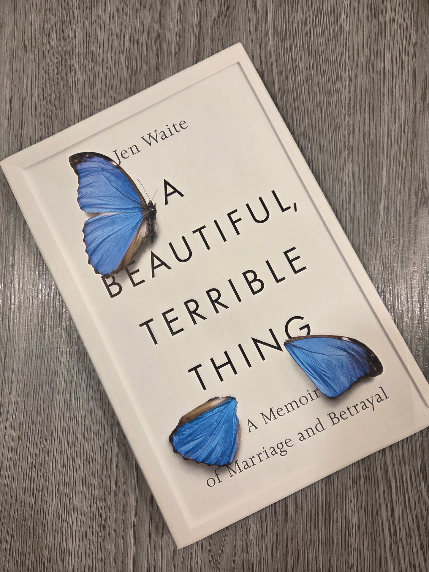 A Beautiful, Terrible Thing: A Memoir of Marriage and Betrayal by Jen Waite - Used