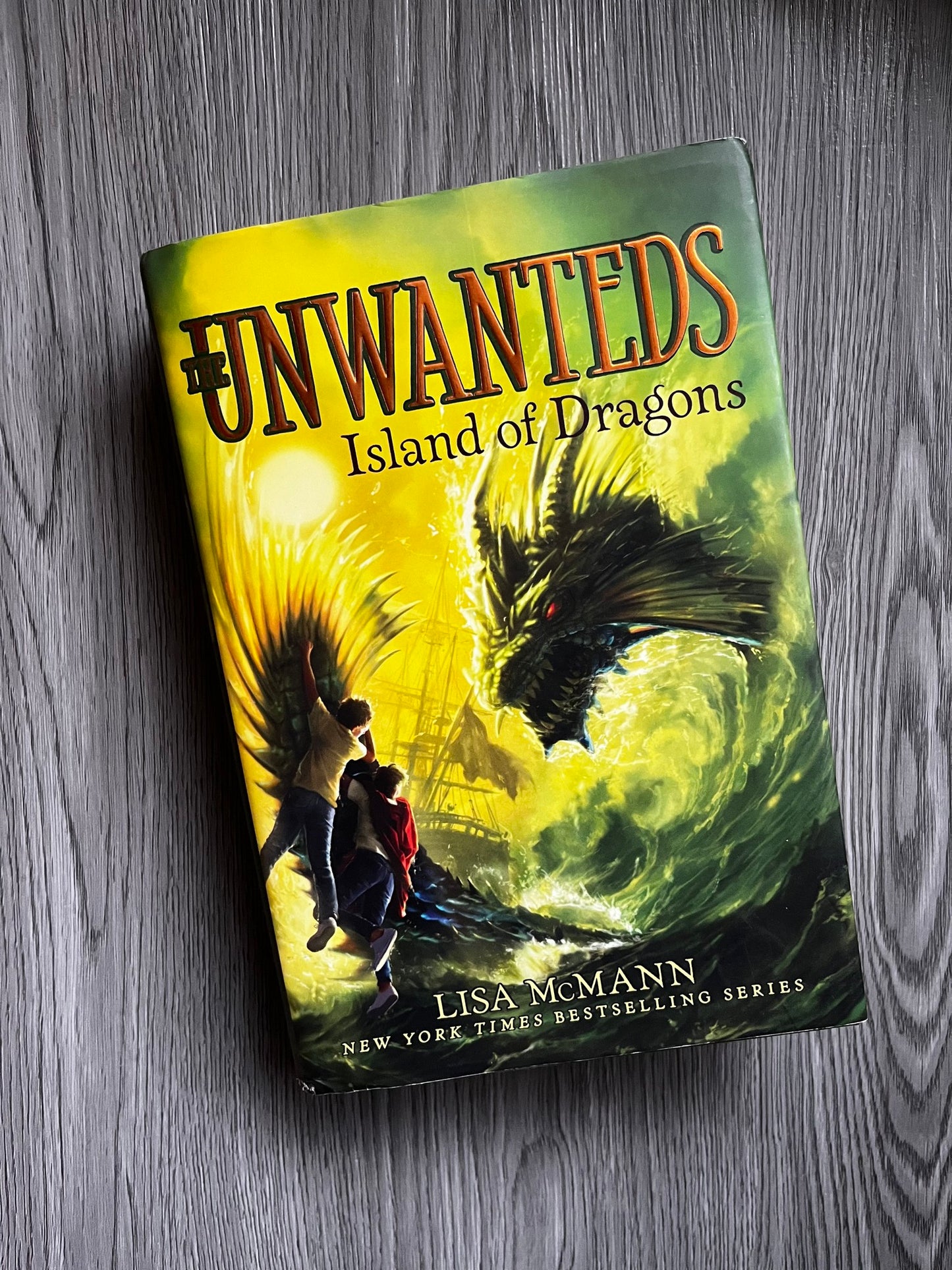 The Unwanteds by Lisa McMann-Used