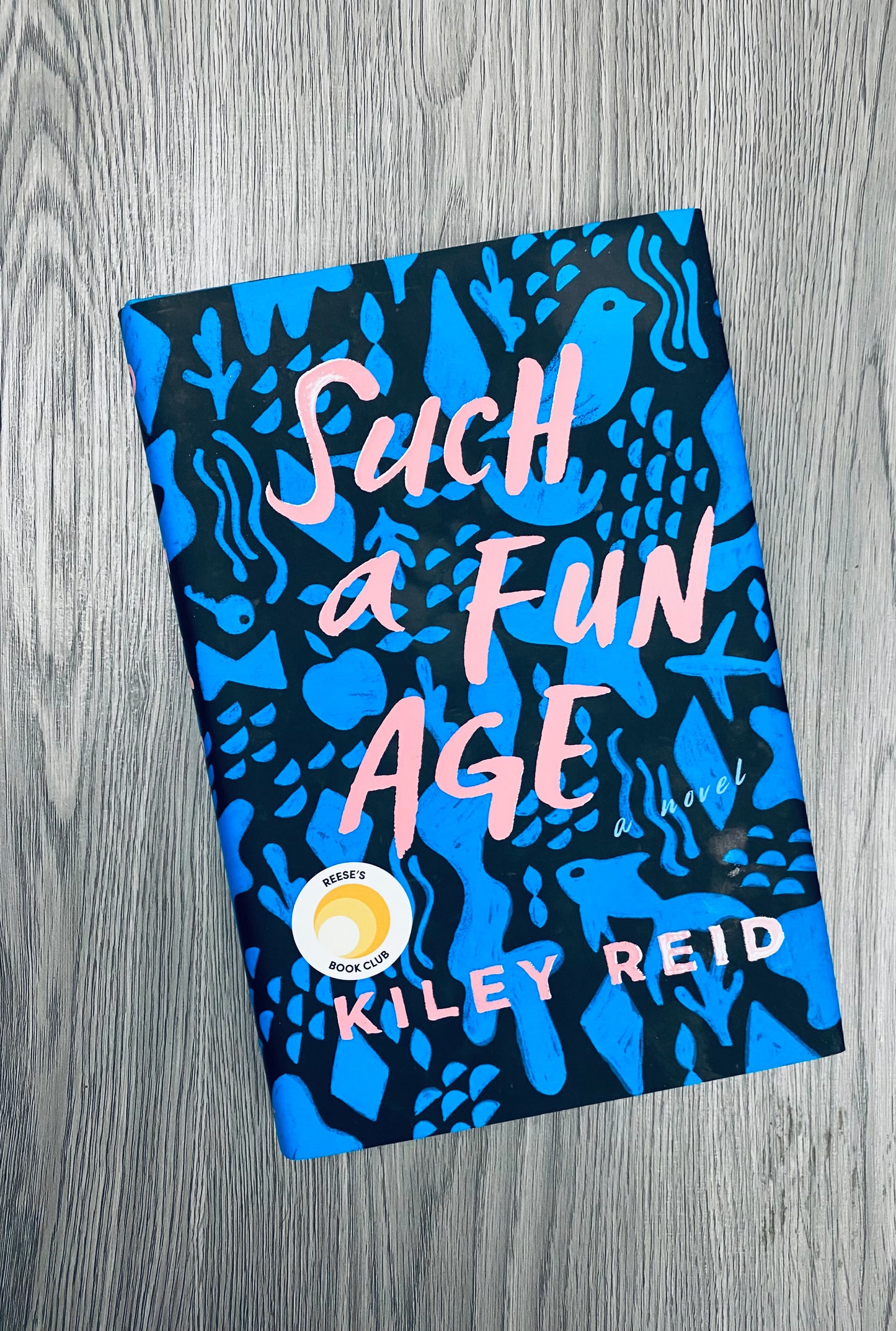 Such A Fun Age by Kiley Reid