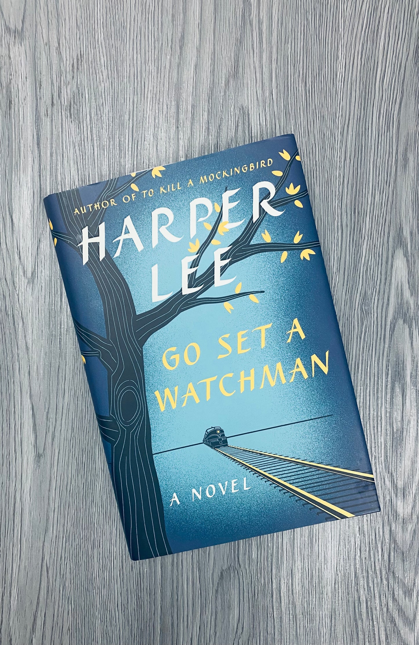 Go Set a Watchman by Harper Lee - Hardcover