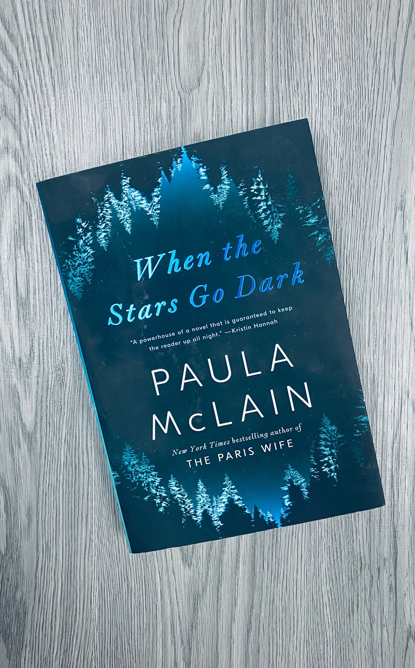 When the Stars Go Dark by Paula McLain