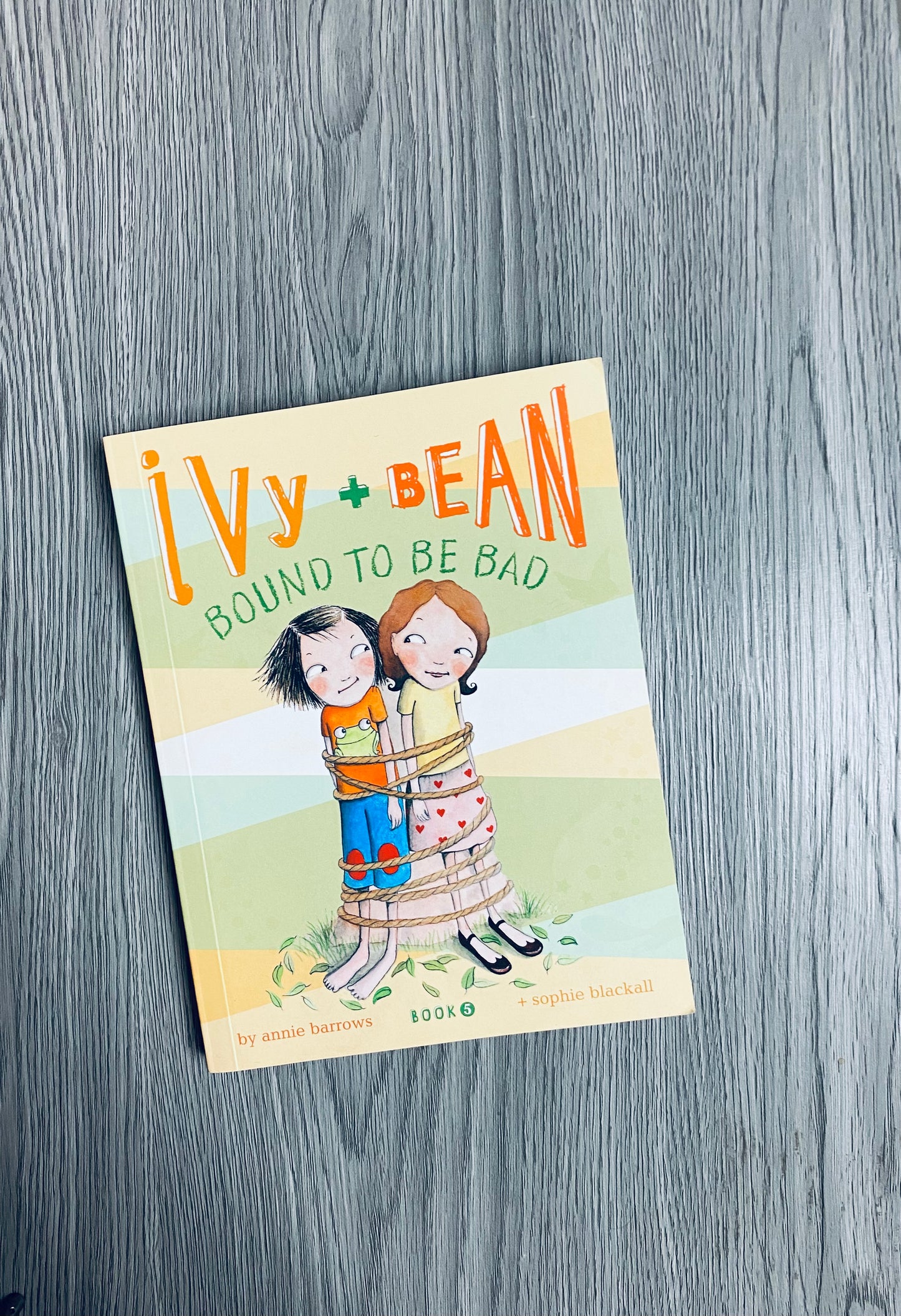 Ivy &  Bean by Annie Borrows