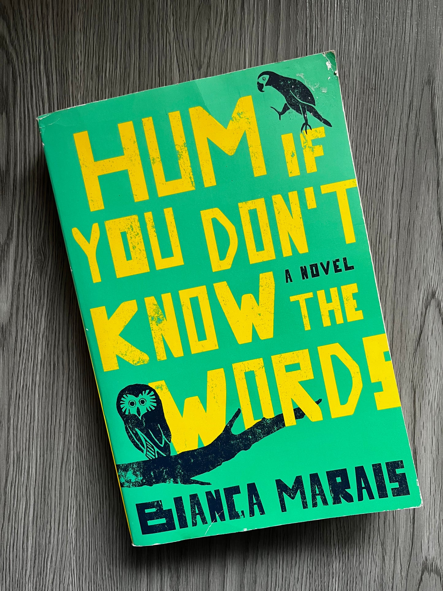 Hum If You Don't Know the Words by Bianca Marais