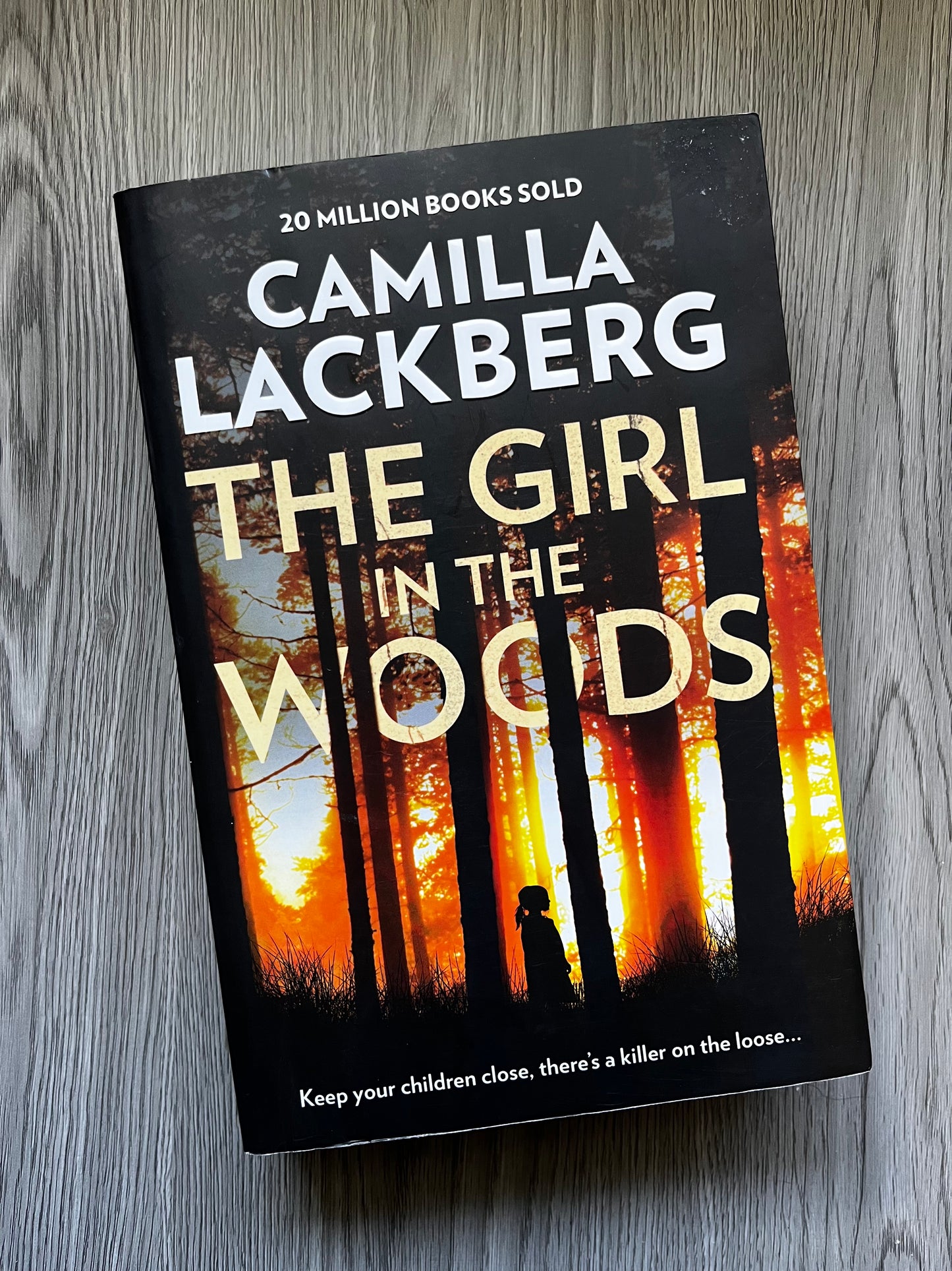 The Girl in the Woods by Camilla Lackberg