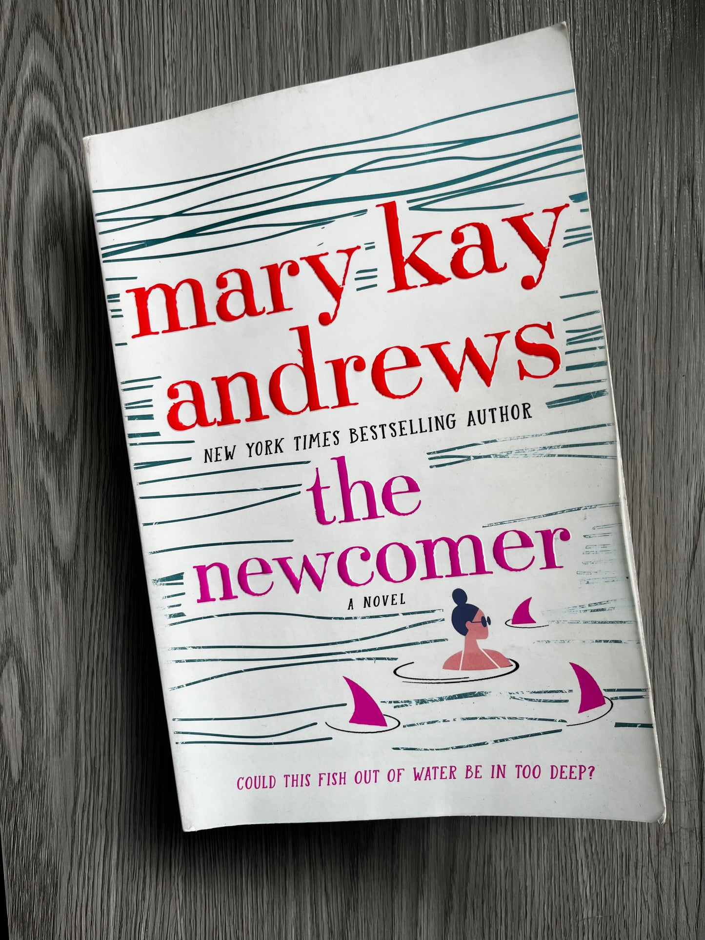 The Newcomer by Mary Kay Andrews