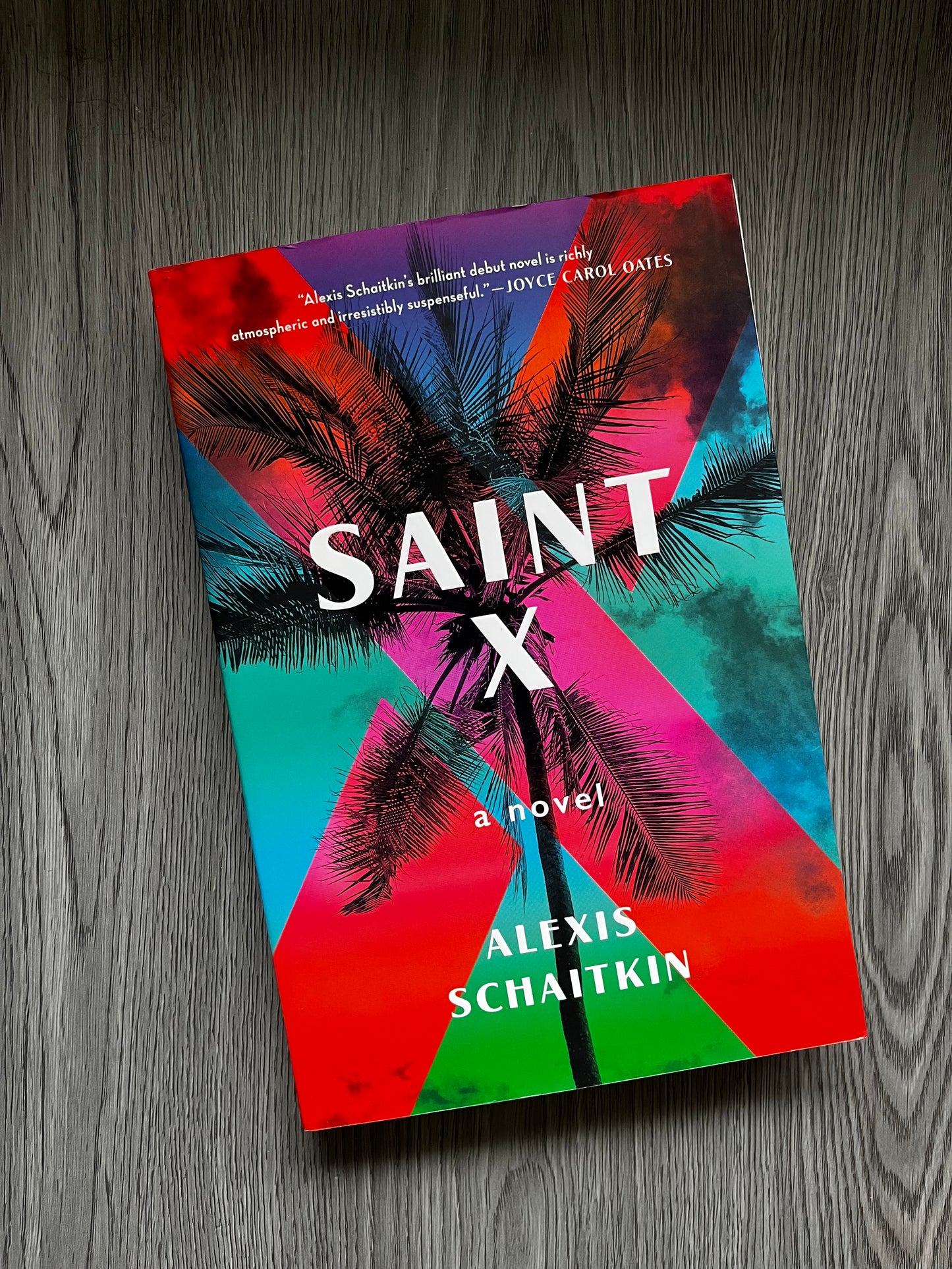 Saint X by Alexis Schaitkin