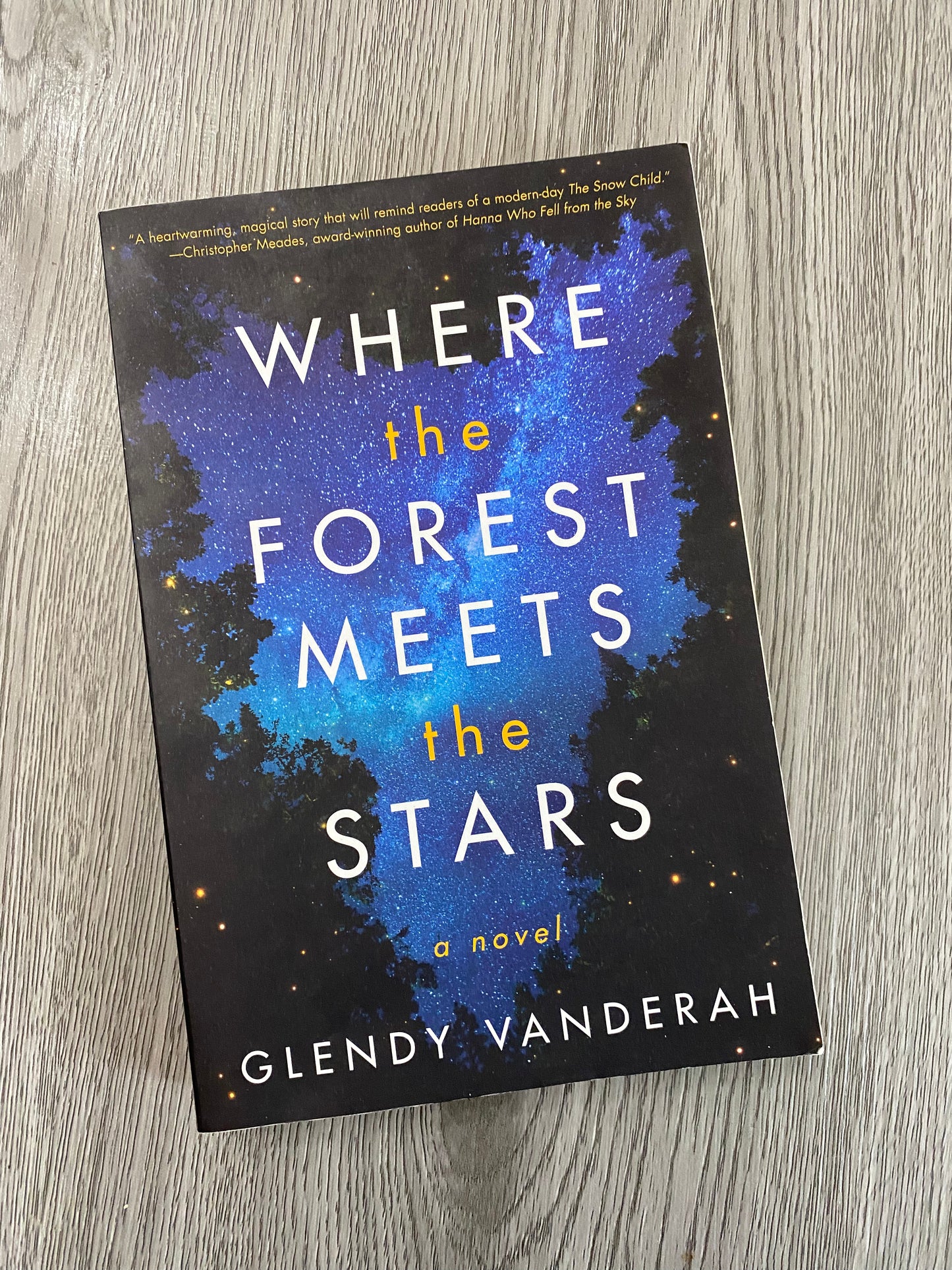 Where the Forest Meets the Stars by Glendy Vanderah