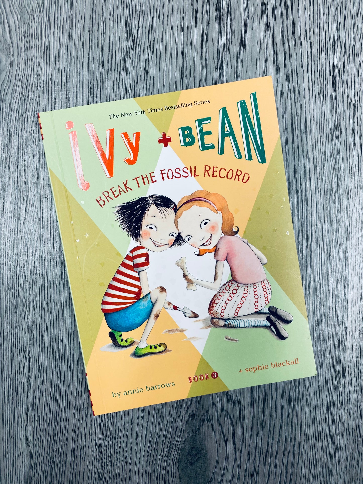 Ivy &  Bean by Annie Borrows