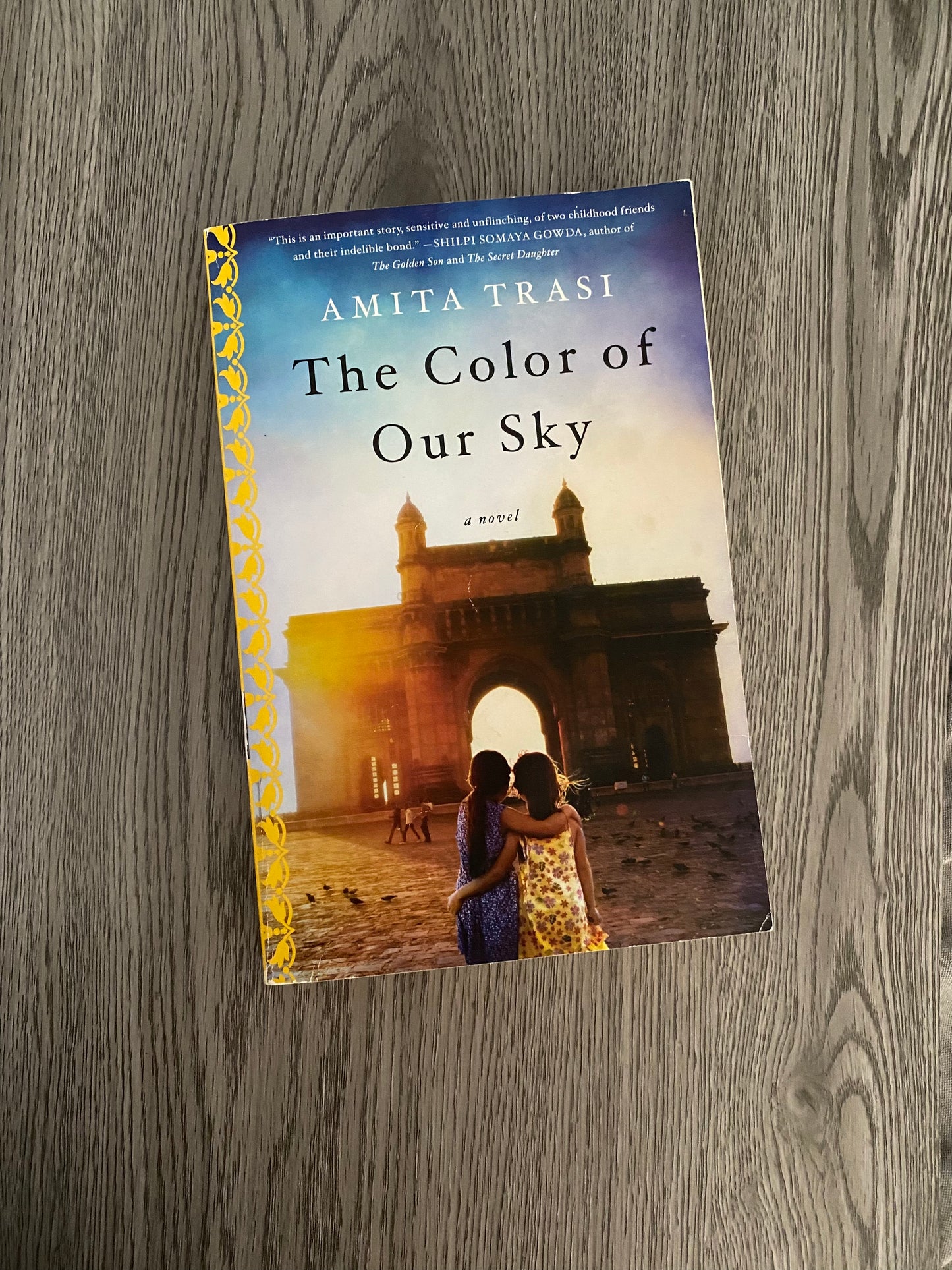 The Color of Our Sky by Amita Trasi