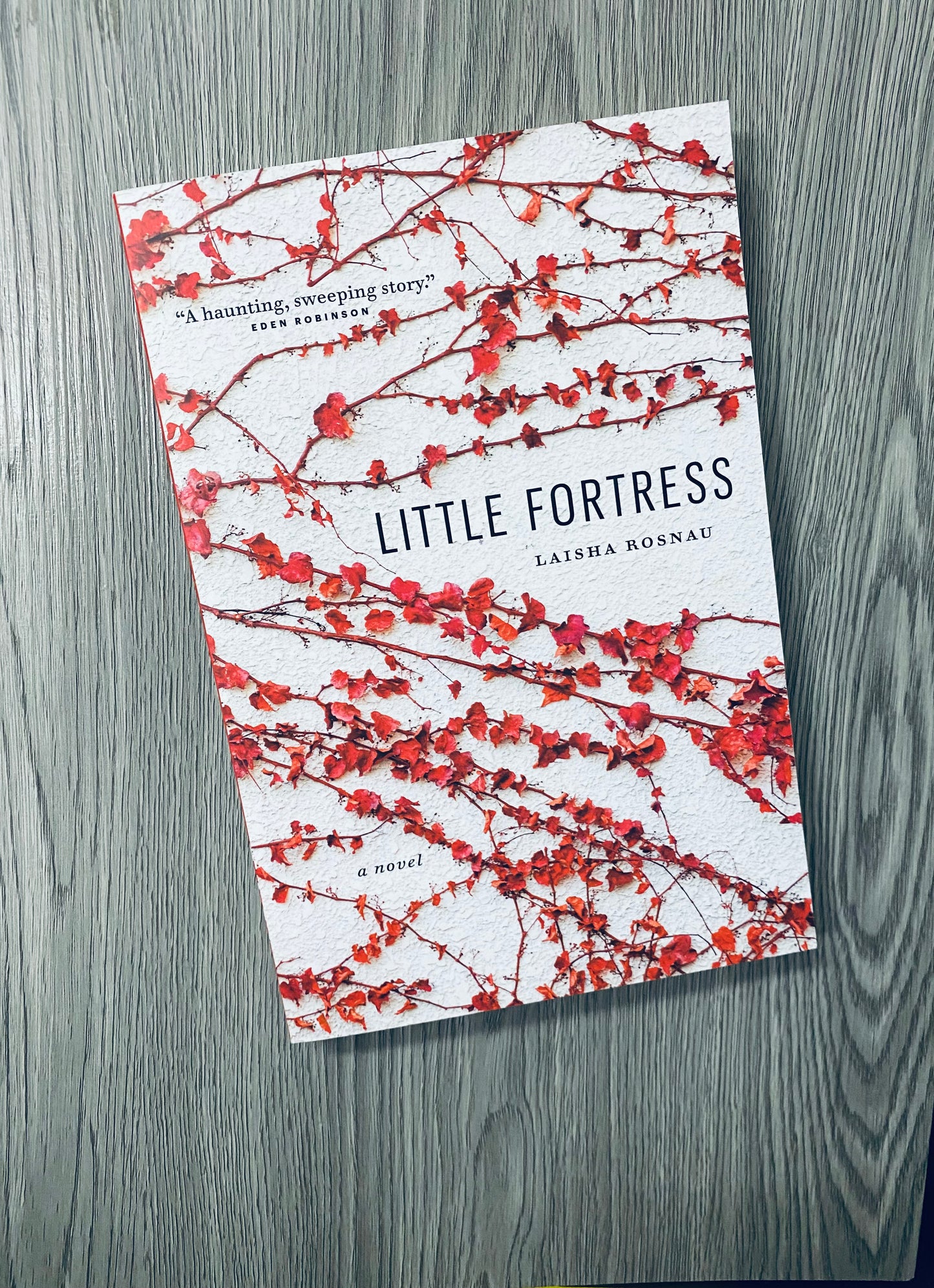 Little Fortress by Laisha Rosnau