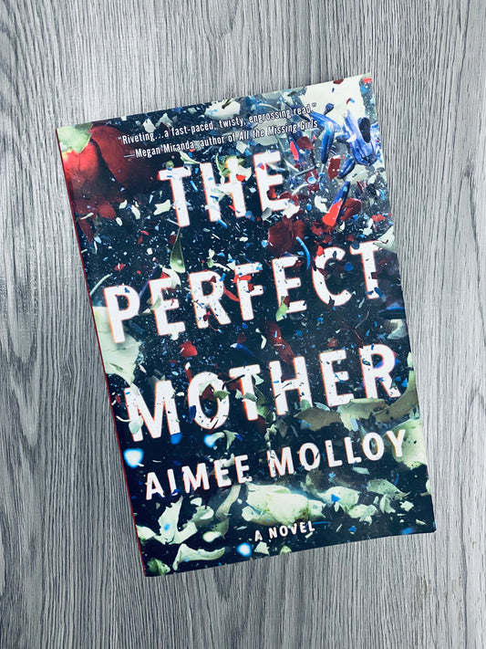 The Perfect Mother by Aimee Molloy-Used