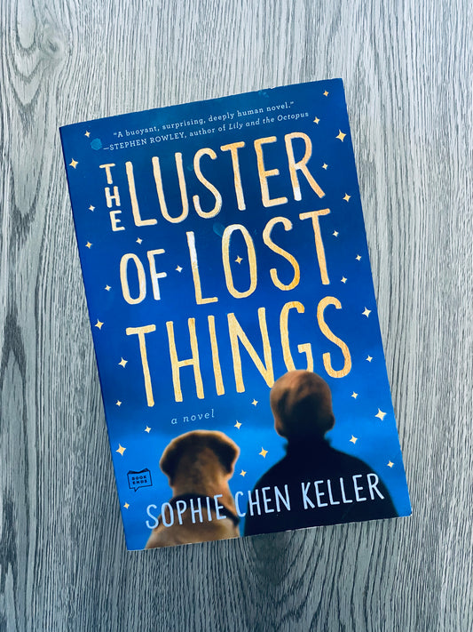 The Luster of Lost Things by Sophie Chen Keller