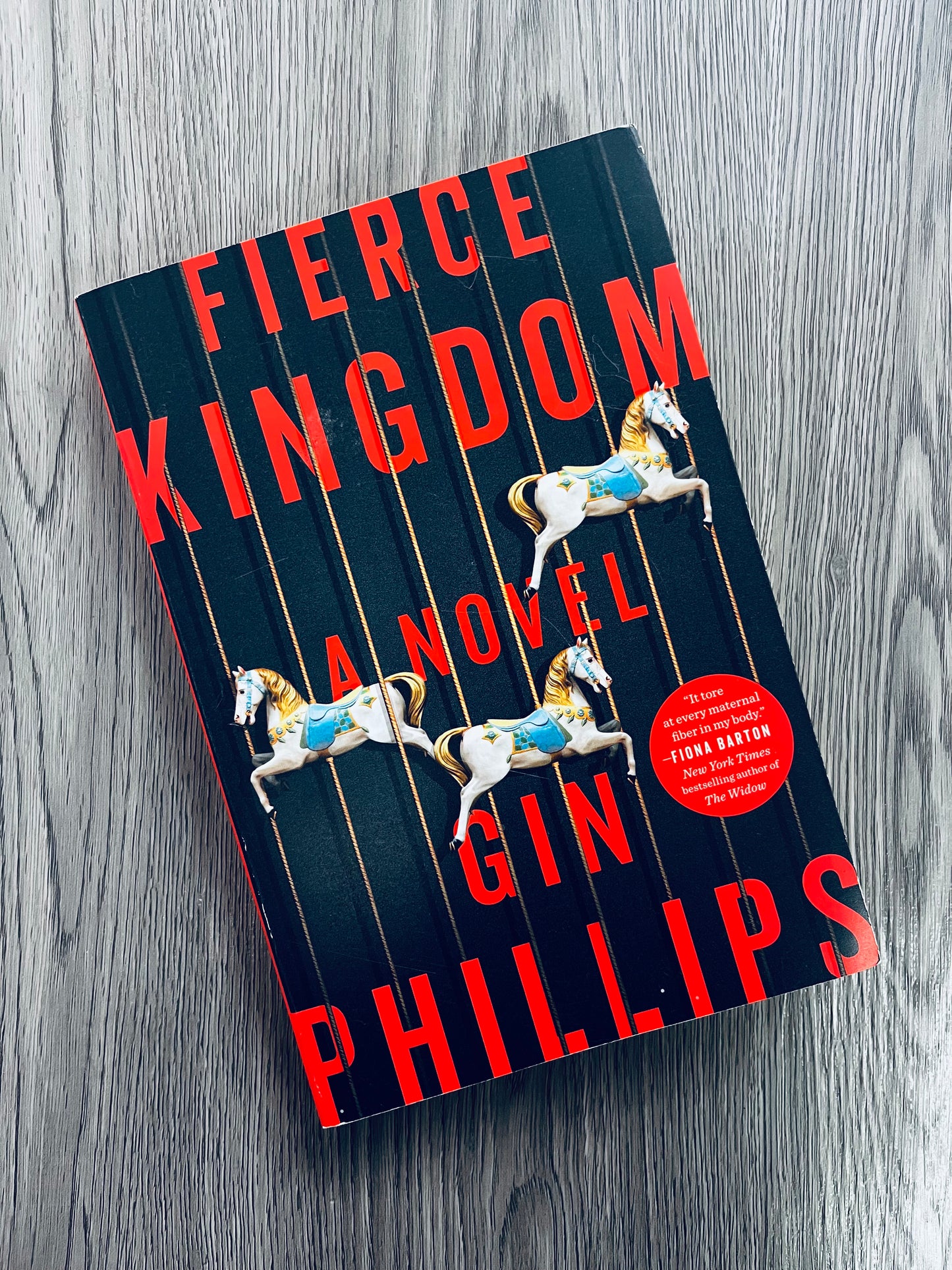 Fierce Kingdom by Gin Phillips